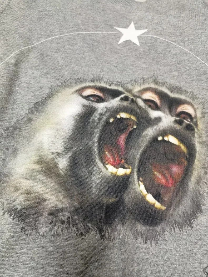 Givenchy Givenchy Classic Double Monkey Fleece Hoodie Size US XS / EU 42 / 0 - 2 Thumbnail