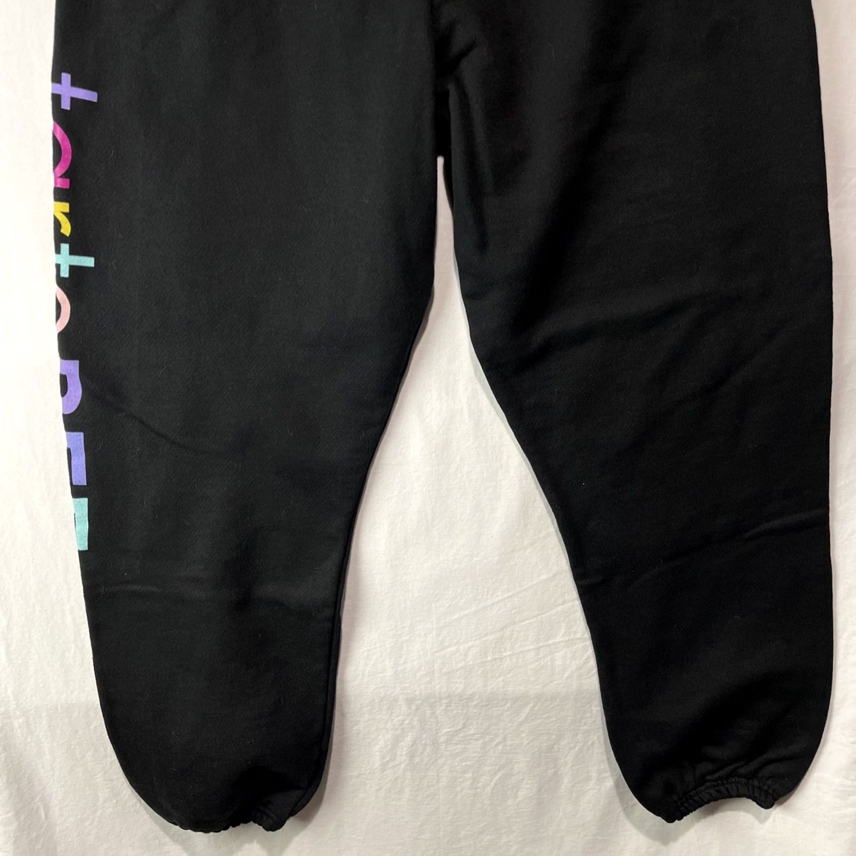 Champion Champion Sweatpants Womens Large Reverse Weave Trate BFF Cosmetics Sweats Black Size 36" / US 14 / IT 50 - 3 Thumbnail