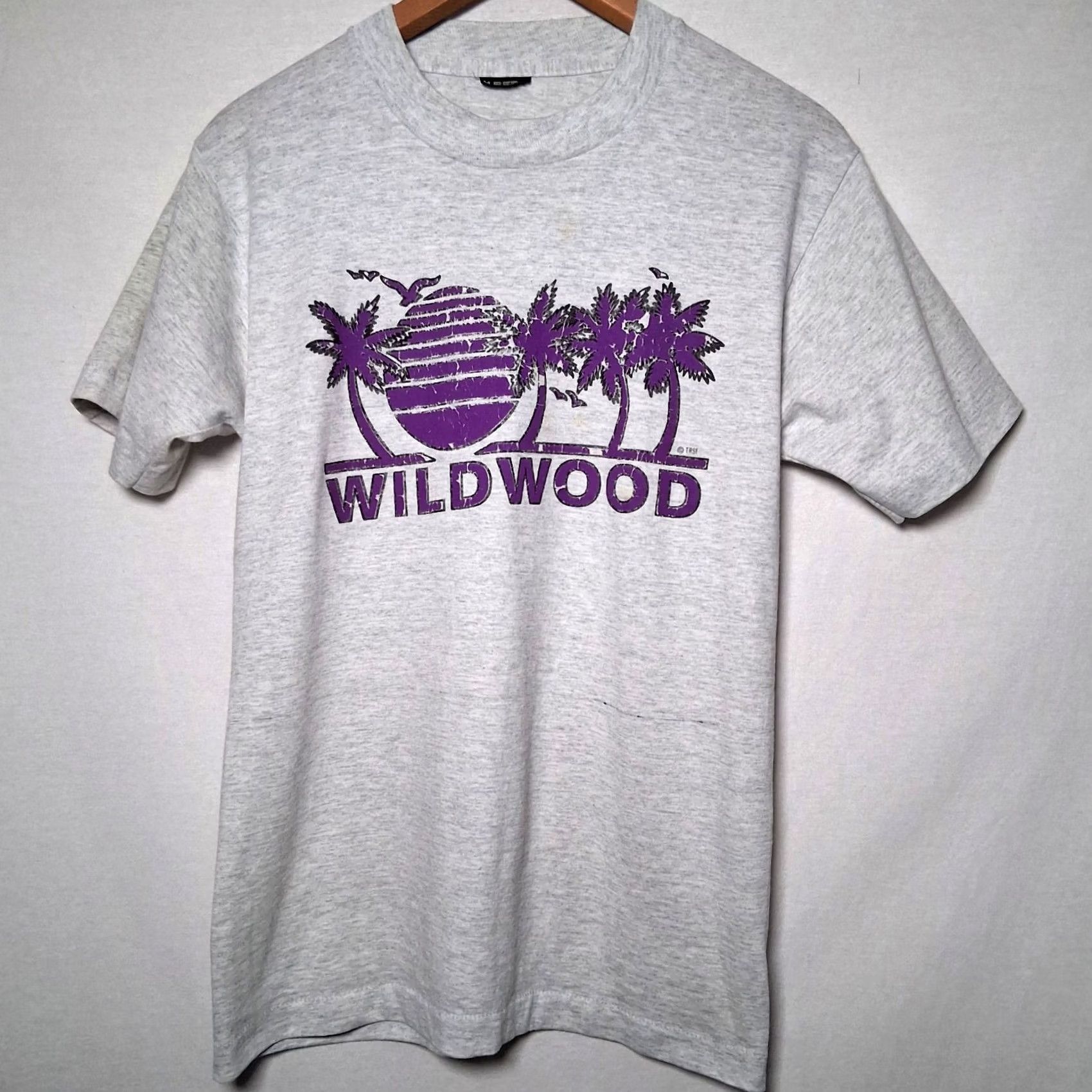 Vintage Final Answer: Vintage Wildwood Beach NJ Shirt M Single Stitch Distressed NJ Size US M / EU 48-50 / 2 - 3 Thumbnail