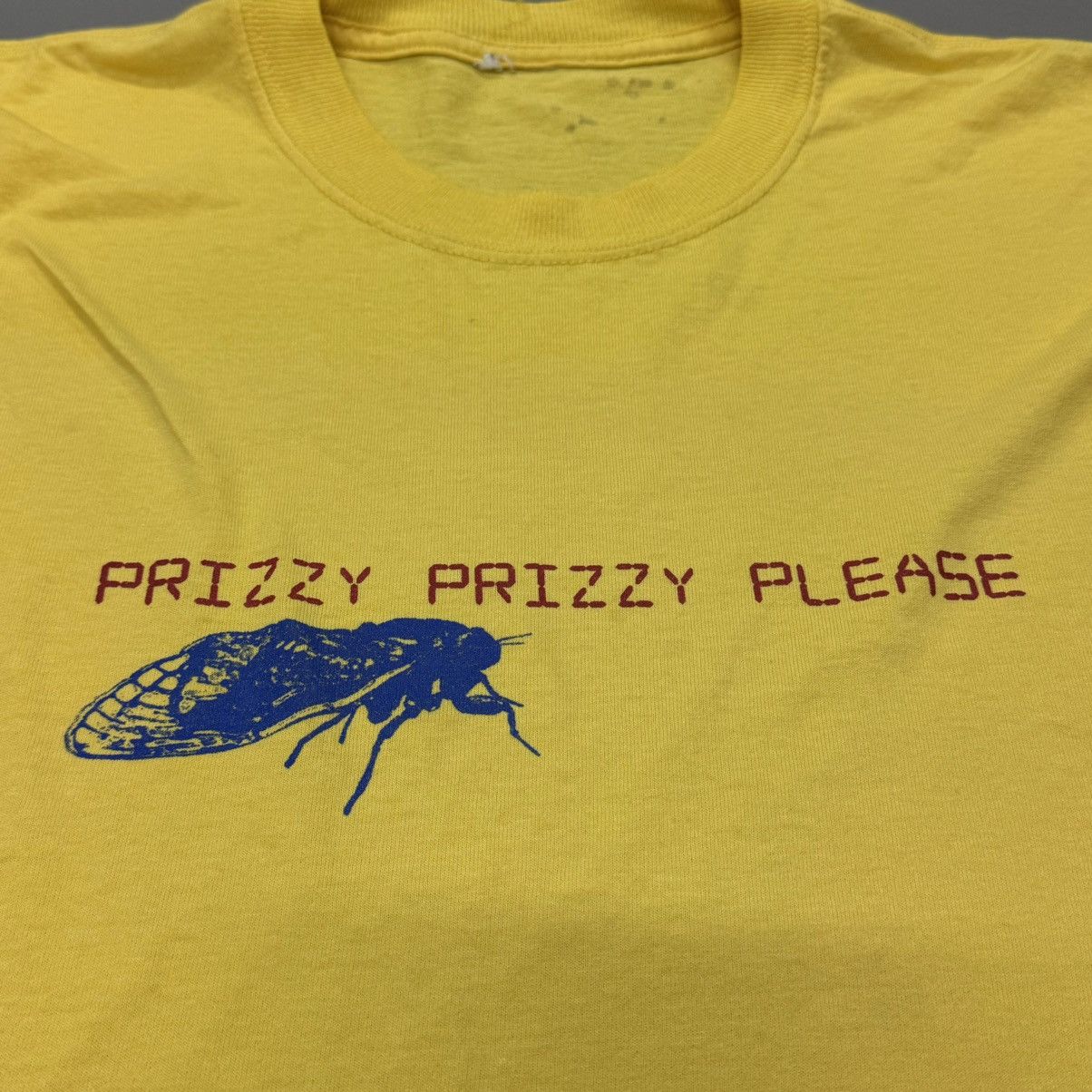 Band Tees × Vintage Vintage '00 Prizzy Prizzy Please Size US L / EU 52-54 / 3 - 1 Thumbnail