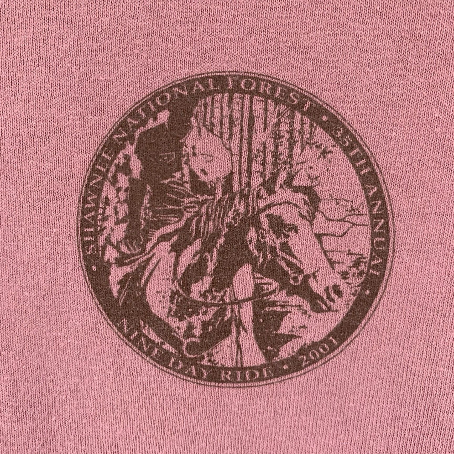 Anvil VINTAGE Anvil Horseback T-Shirt Graphic Print Red Medium 2001 Shawnee National Forest Nature Unisex Size US M / EU 48-50 / 2 - 4 Thumbnail