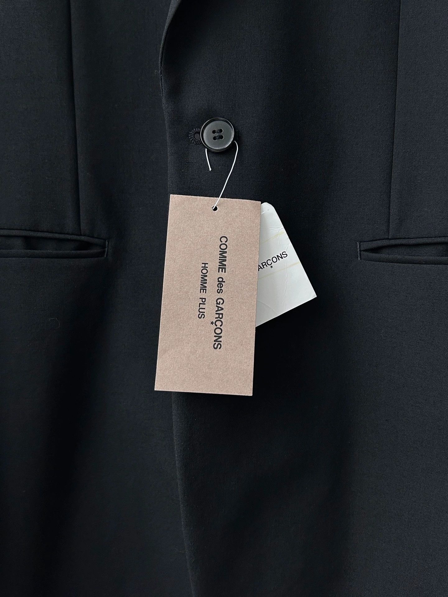 Comme des Garcons CDG Homme Plus 13s Flocked Long Blazer M Size US M / EU 48-50 / 2 - 4 Thumbnail