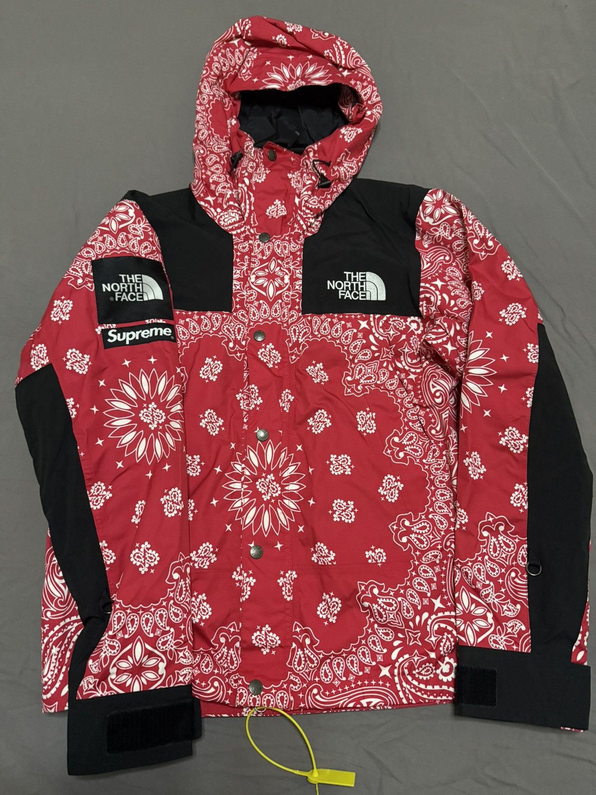 Supreme tnf north face red bandana paisley mountain Jacket