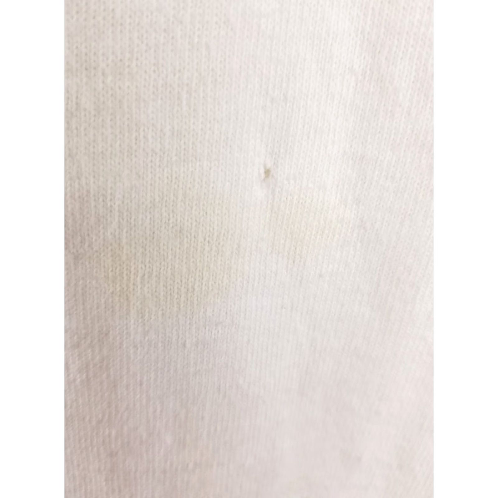Champion VINTAGE CHAMPION IT TAKES LITTLE MORE TO MAKE A CHAMPION WHITE T-SHIRT M Mens 90s Size US M / EU 48-50 / 2 - 3 Thumbnail
