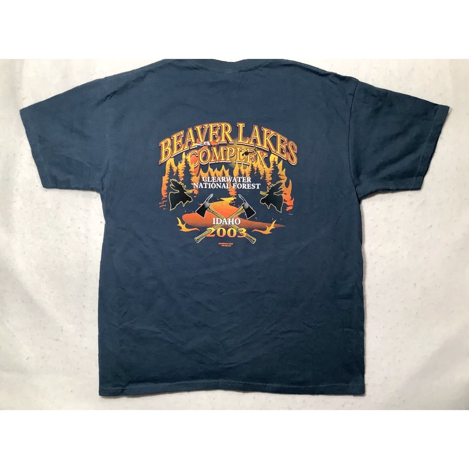Anvil VINTAGE Beaver Lakes Complex Shirt Mens XL Idaho 2003 Wildfire Clearwater 00s Shirt Mens XL Blue Idaho 2003 Wildfire Clearwater 00s Size US XL / EU 56 / 4 - 5 Thumbnail