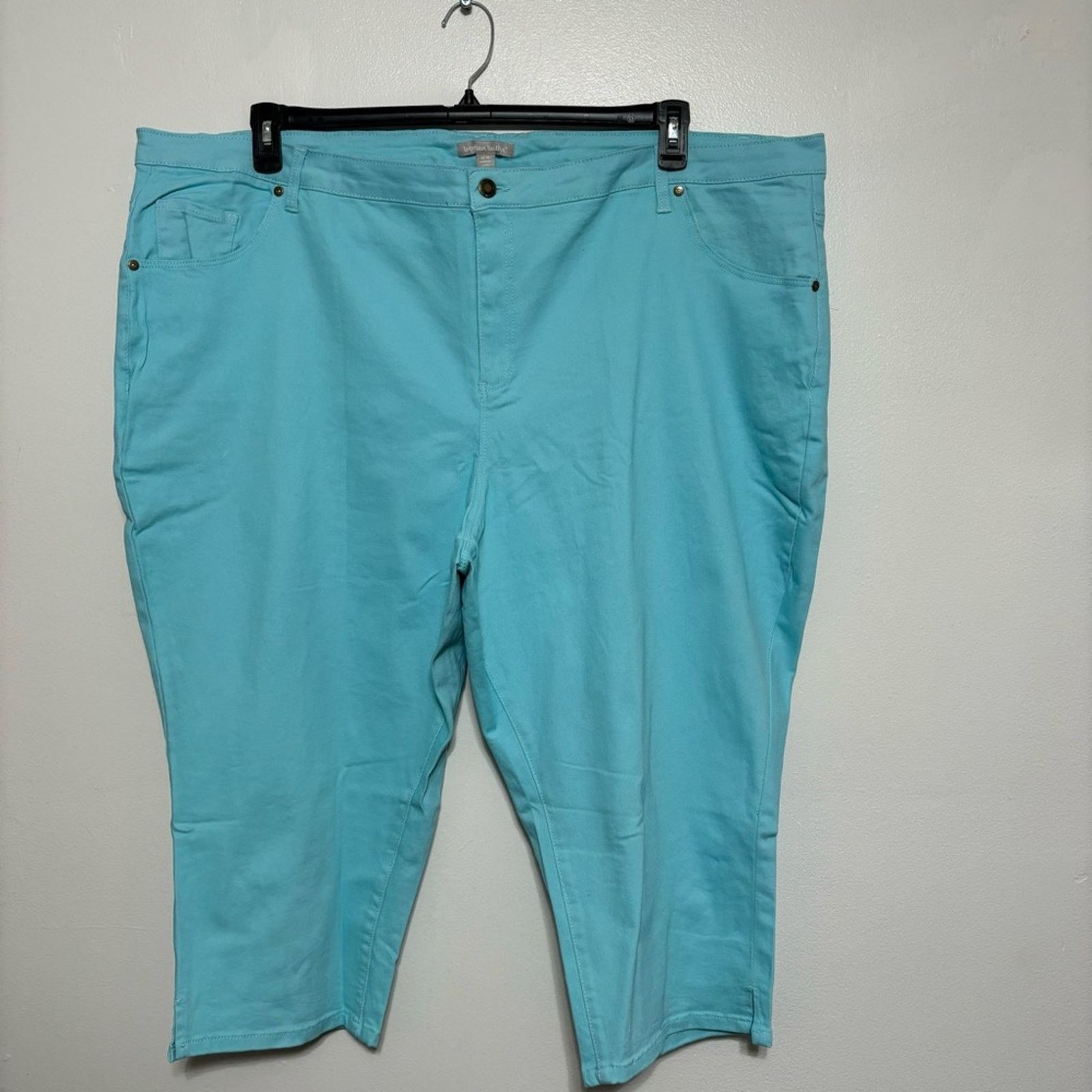 Other Woman Within Light Blue Capri Pants 34W Plus Size NIP Size 26" / US 2 / IT 38 - 11 Thumbnail