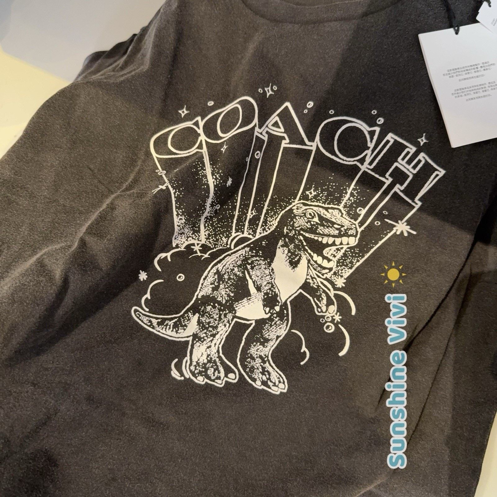 Coach NWT COACH Men T-Rex Relaxed T-Shirt Black CY573 large Size US L / EU 52-54 / 3 - 4 Thumbnail