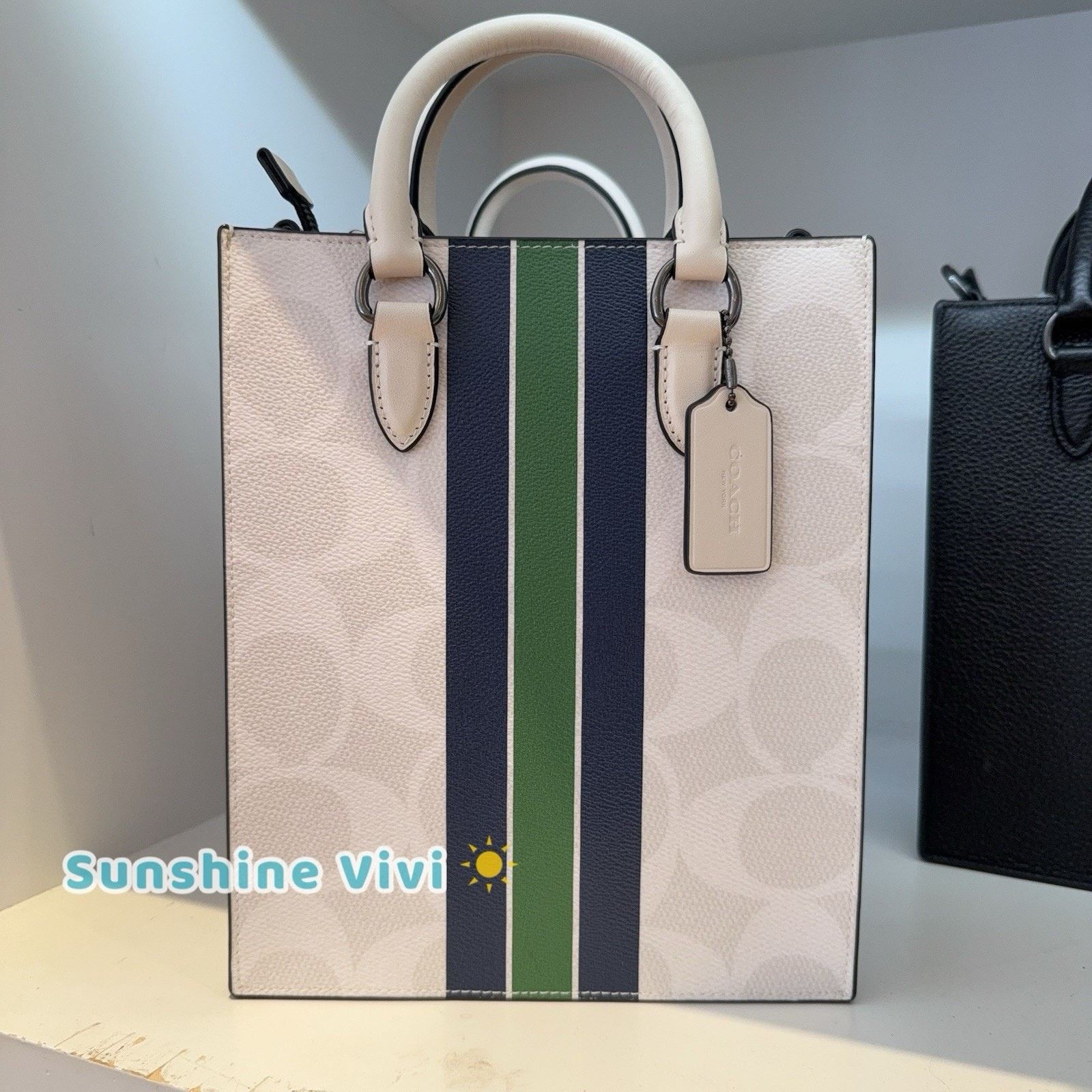 NWT COACH Dylan Tote Bag Varsity Stripe CBI38 Gunmetal/Chalk 