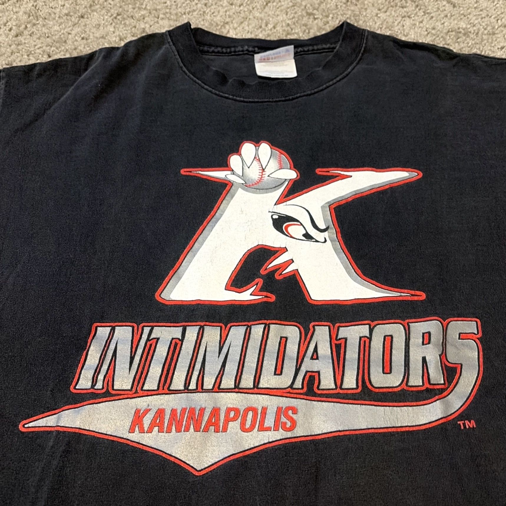 Hanes VINTAGE Dale Earnhardt Kannapolis Intimidators MILB Baseball T-shirt Large Size US L / EU 52-54 / 3 - 3 Thumbnail