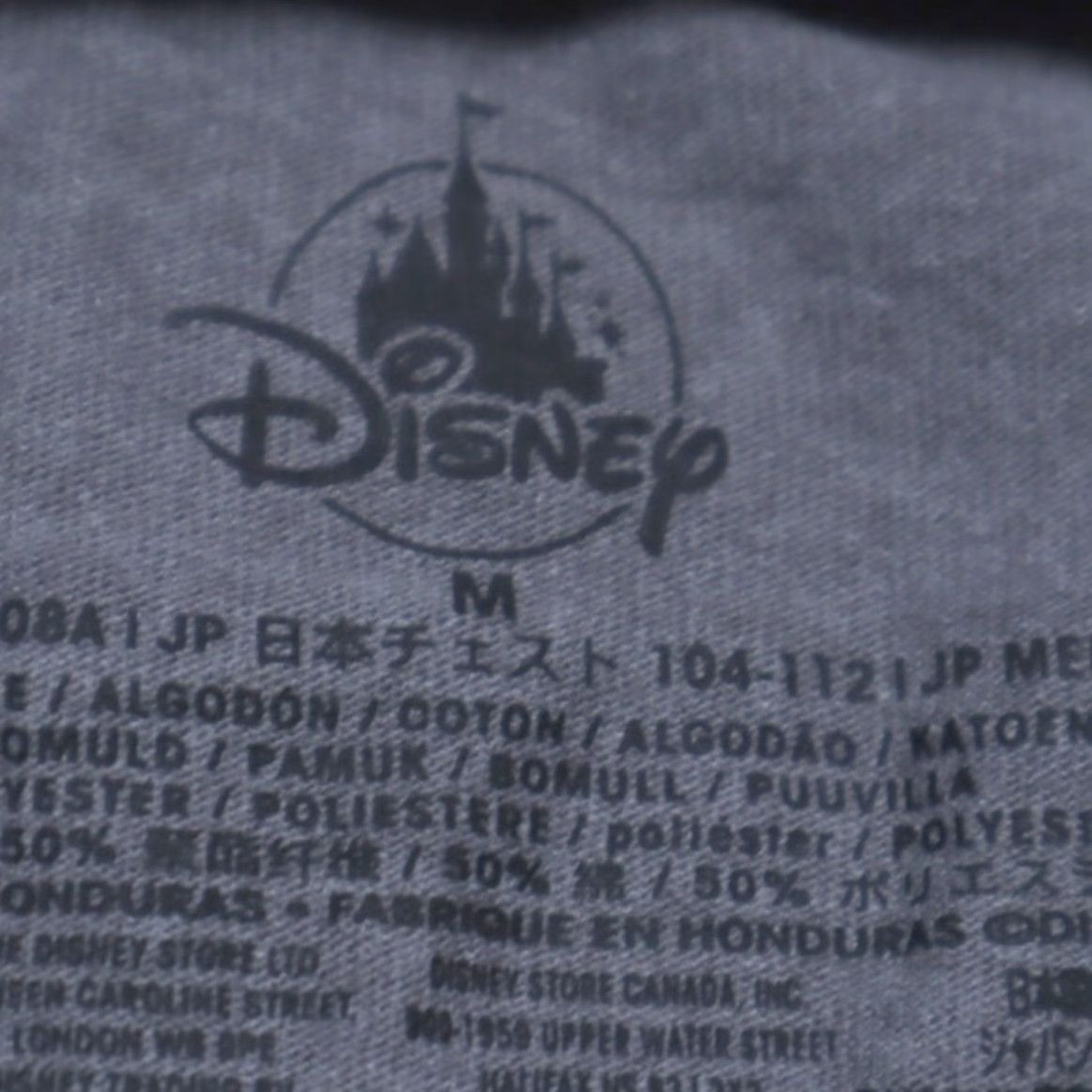 Disney Disney Shirt Men's M Gray Mouseketeer Ringer Solid T-Shirt N/A 90s? (not applicable) Size US M / EU 48-50 / 2 - 5 Thumbnail