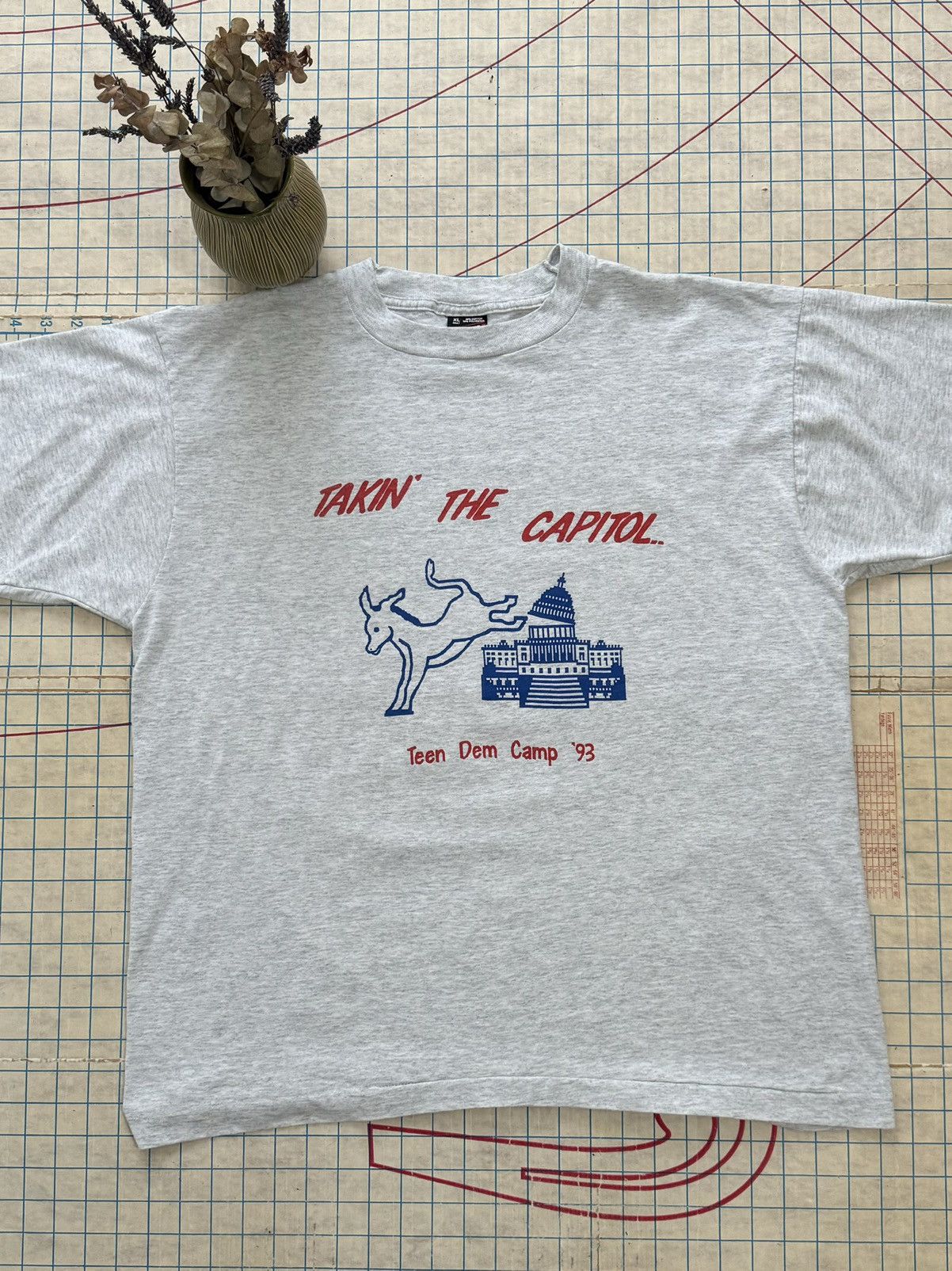 Other × Vintage Vintage Takin’ The Capitol Democratic Camp 93’ Size XL Gray Size US XL / EU 56 / 4 - 2 Thumbnail