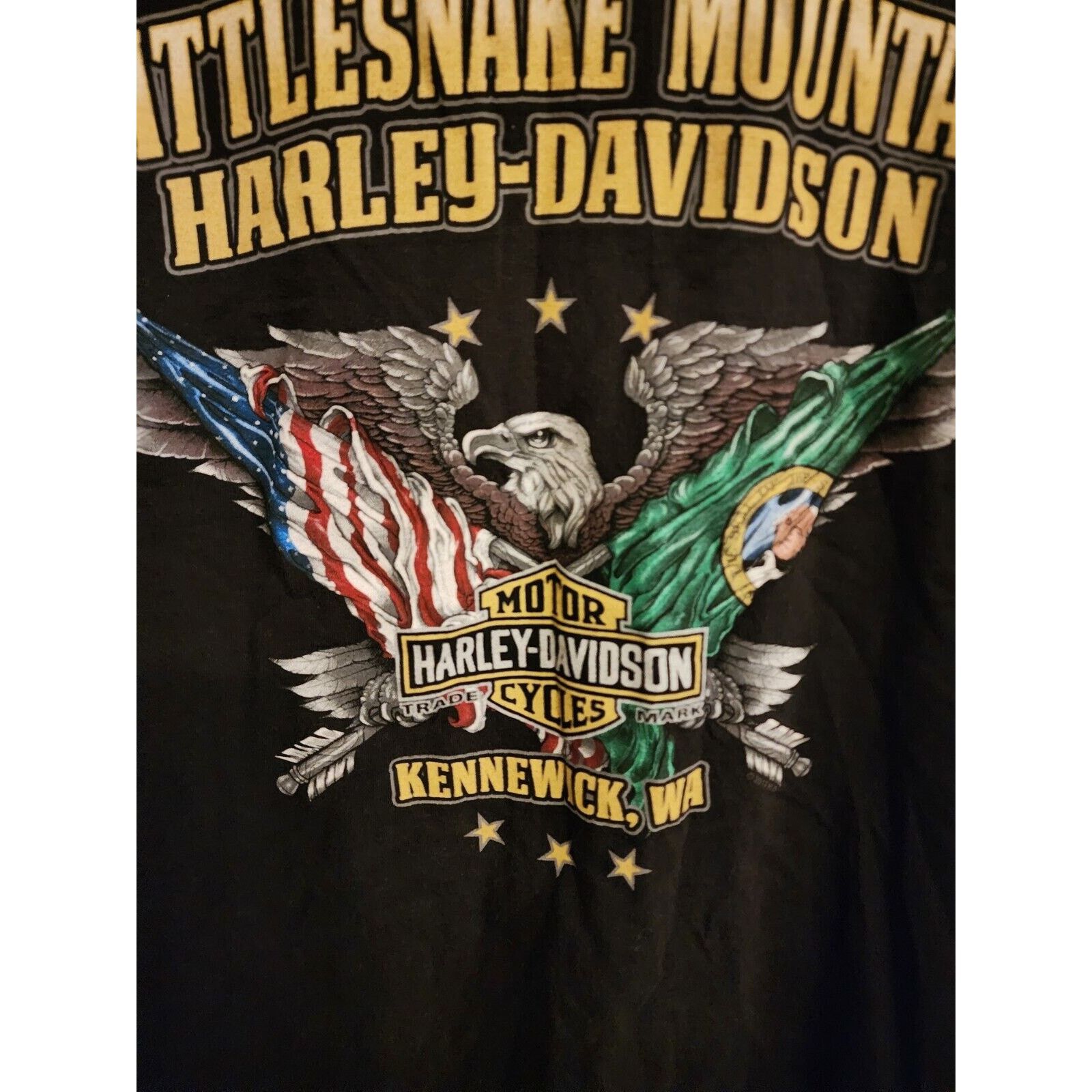 Harley Davidson Vtg Y2K Rattlesnake Mountain Harley Davidson Men T-Shirt 2XL Size US XXL / EU 58 / 5 - 1 Thumbnail