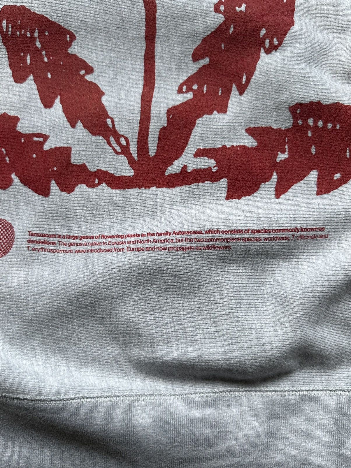 Jam jam taraxacum hoodie Size US L / EU 52-54 / 3 - 5 Thumbnail