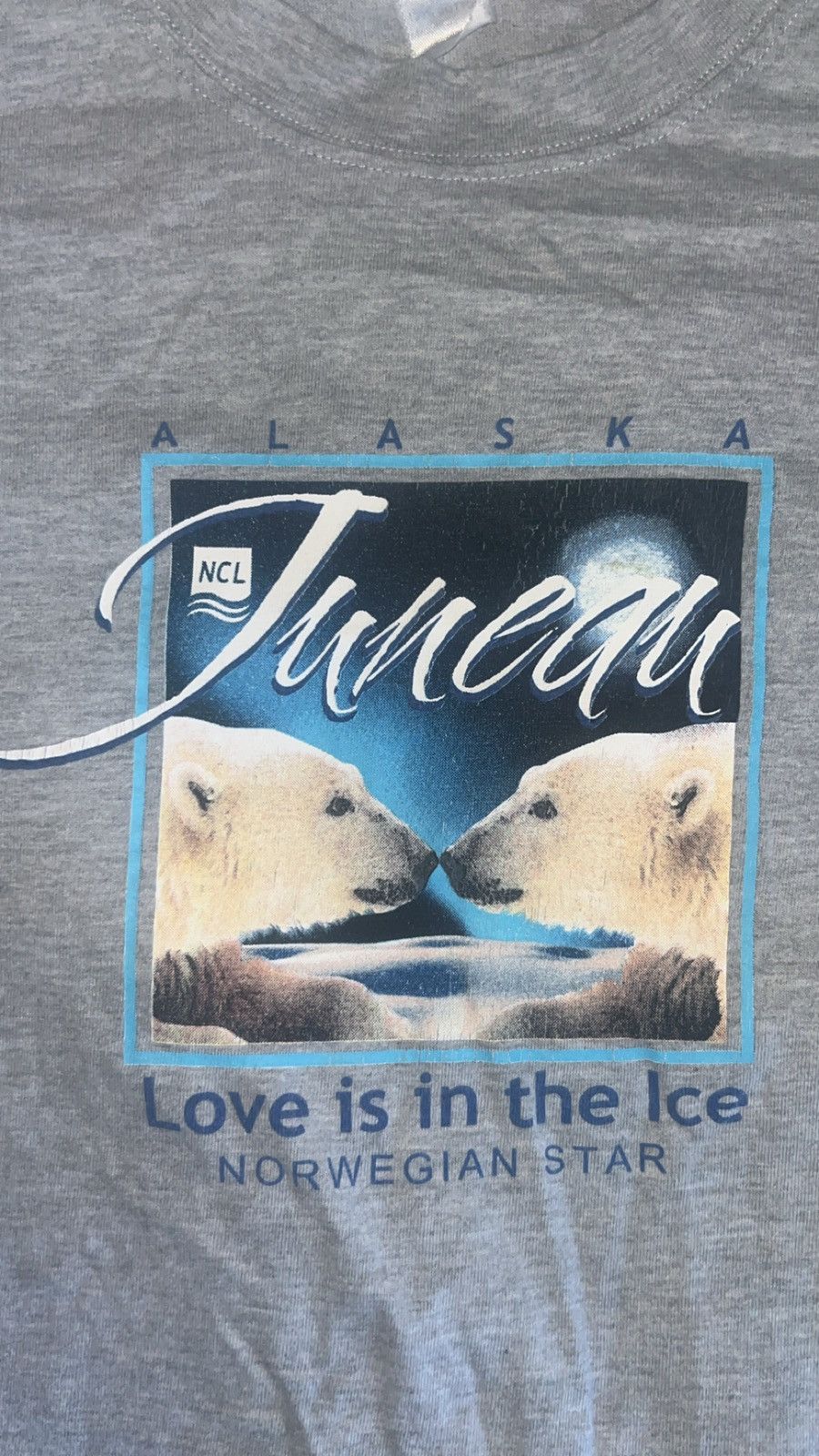 Other Polar bear t shirt Size US L / EU 52-54 / 3 - 1 Thumbnail