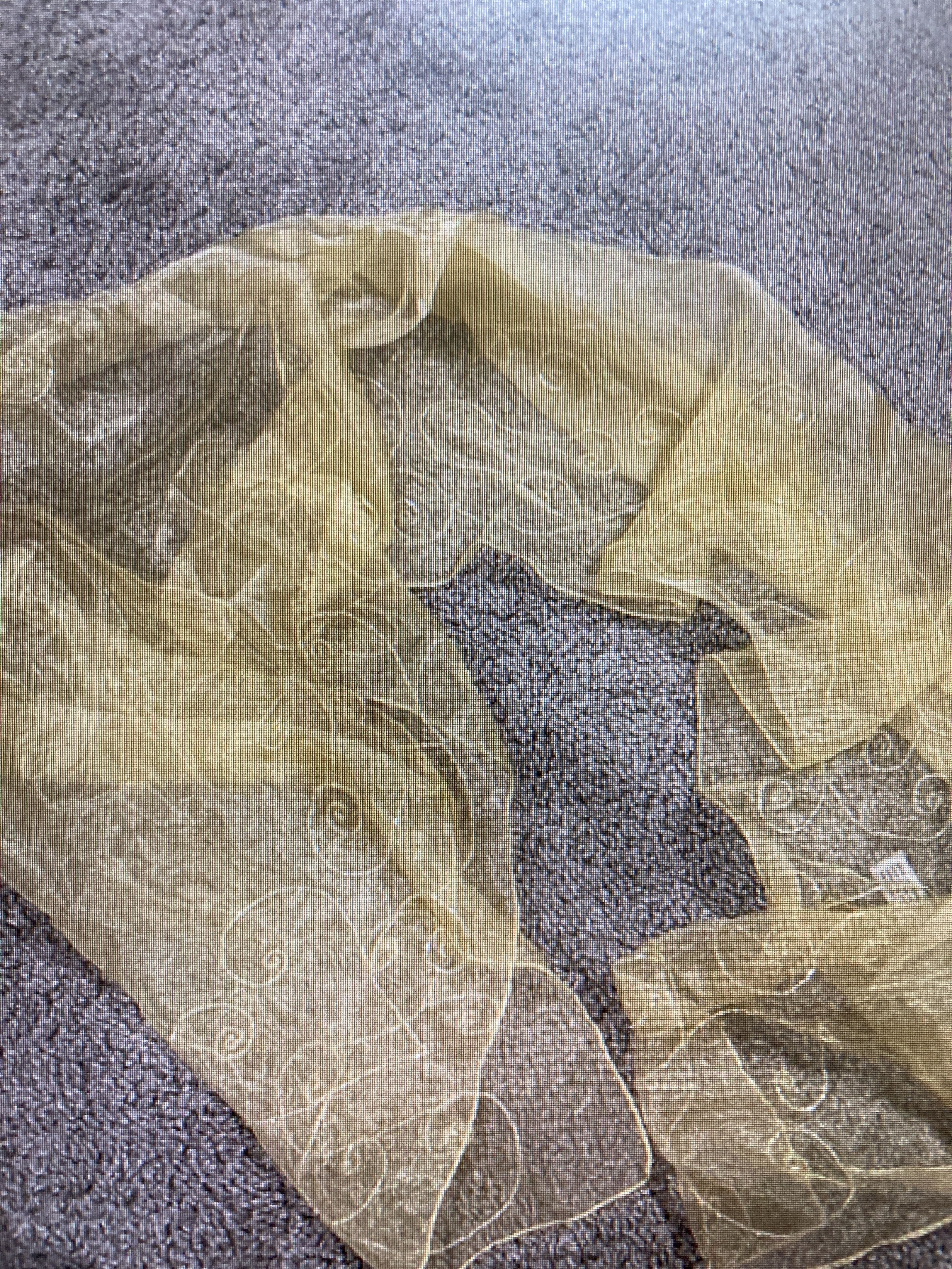 Other Yellow sheer y2k scarf Size ONE SIZE - 1 Preview
