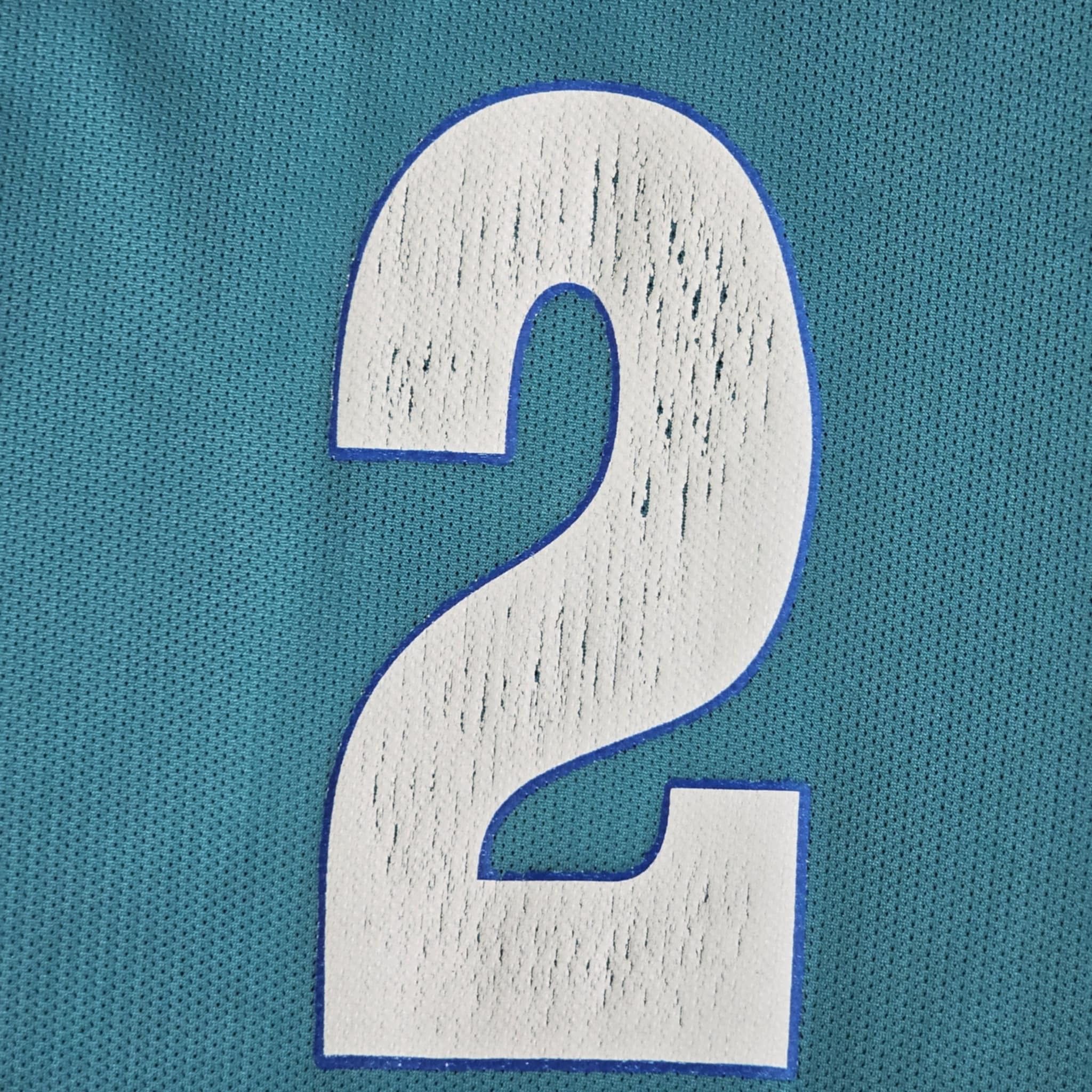 Champion × Vintage Charlotte Hornets Vintage 90s Larry Johnson Jersey Size US XL / EU 56 / 4 - 4 Thumbnail