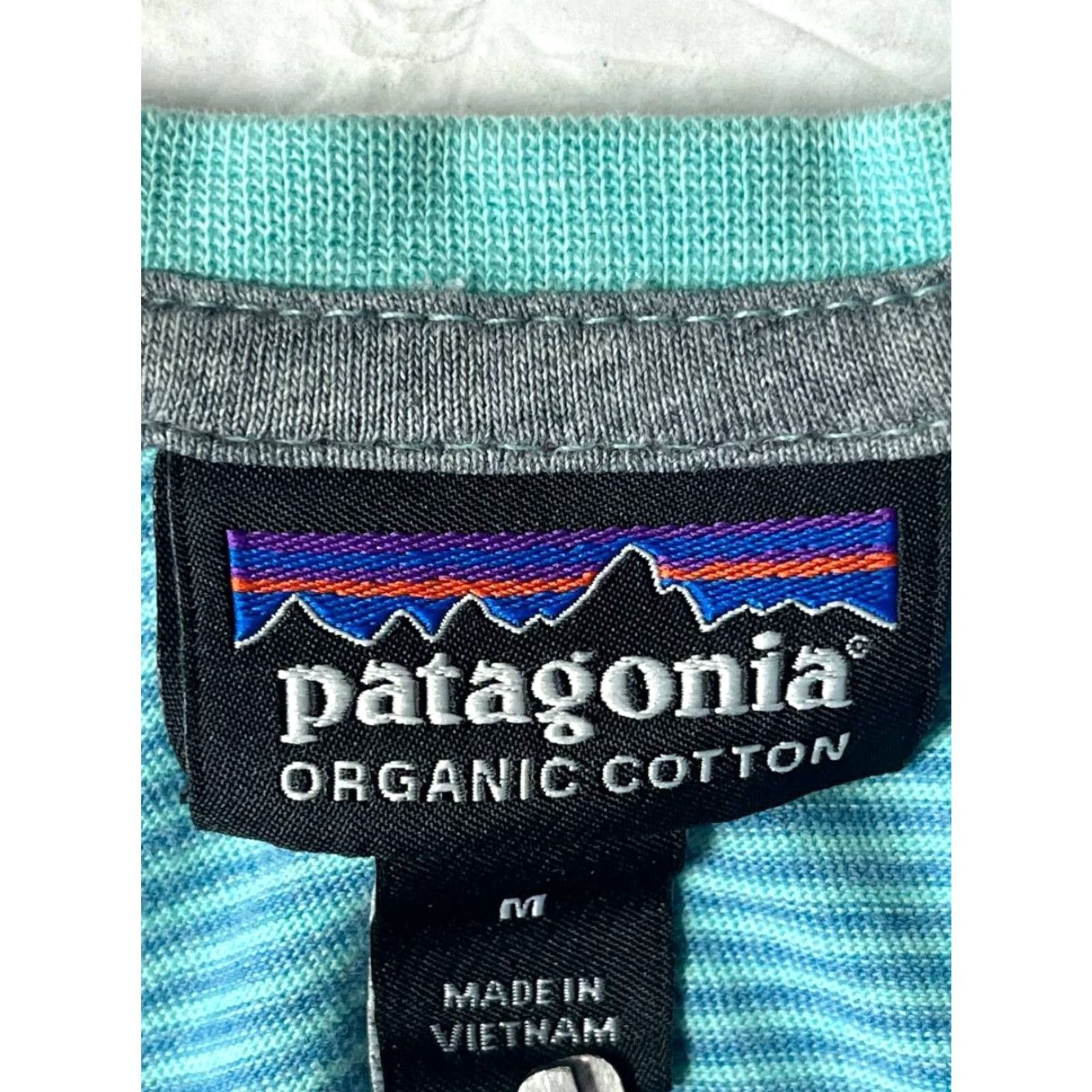 Patagonia Patagonia Mens Shirt T-Shirt Short Sleeve Crew Neck Organic Cotton Blue M Striped Regular Casual Mens Size US M / EU 48-50 / 2 - 7 Thumbnail