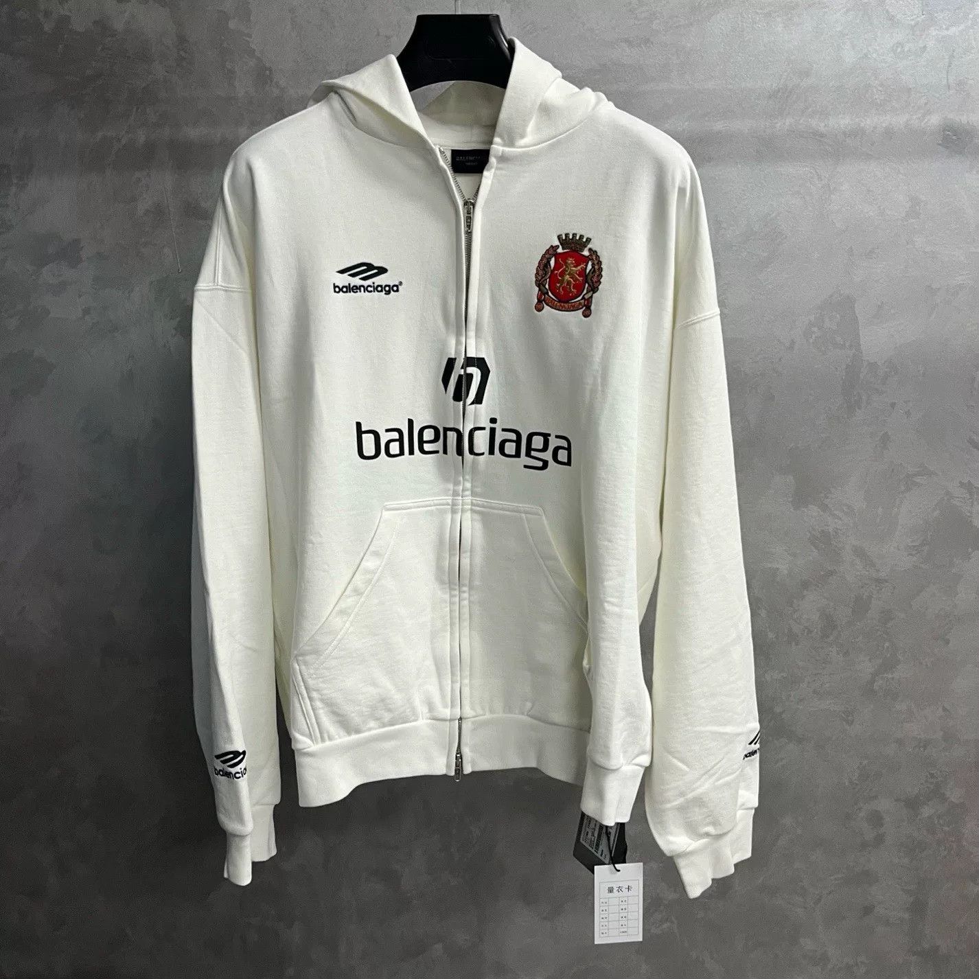 Balenciaga Balenciaga Printed Hoodie s Men Size US S / EU 44-46 / 1 - 1 Thumbnail