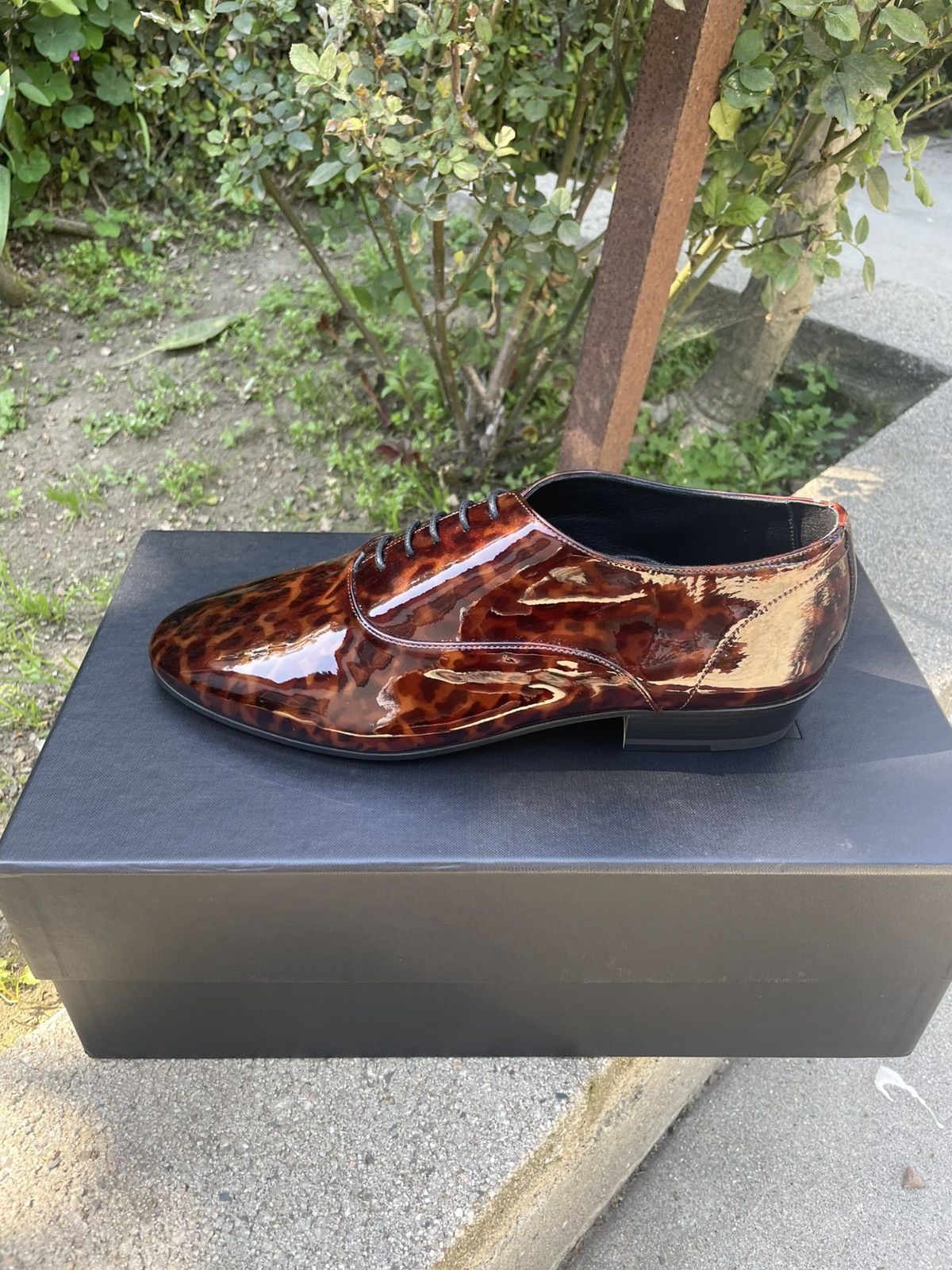 Saint Laurent Paris SLP Runway Patent Leather Lace Up Oxford Shoes Tortoise Size US 8 / EU 41 - 4 Thumbnail