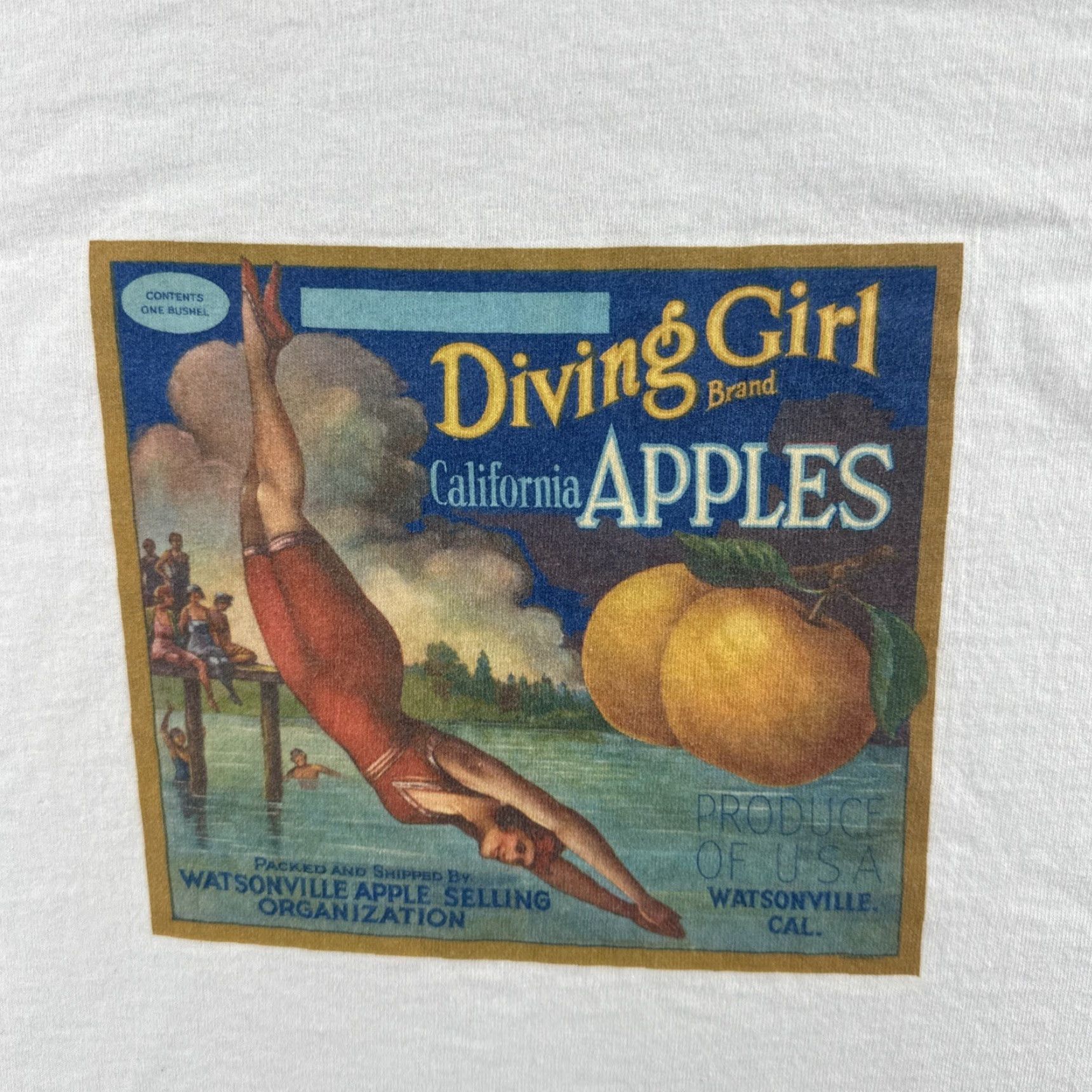 Hanes VINTAGE Hanes Comfor-T T-Shirt California Diving Girl White XL Men Shirt Short Sleeve Crew Neck Size US XL / EU 56 / 4 - 6 Thumbnail