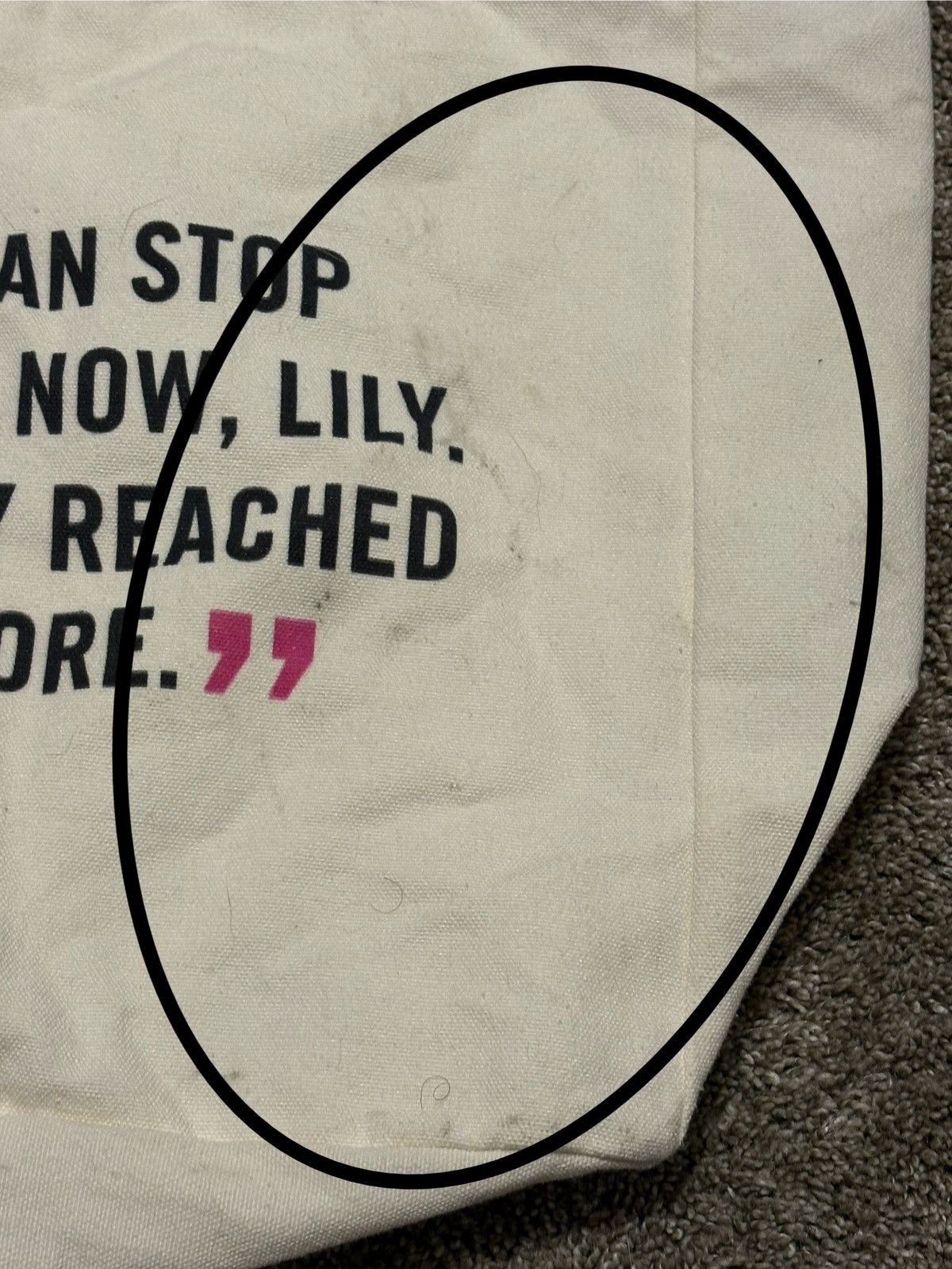 Vintage (Colleen Hoover) It Ends With Us Promo Tote Bag: 18” Size ONE SIZE - 4 Thumbnail