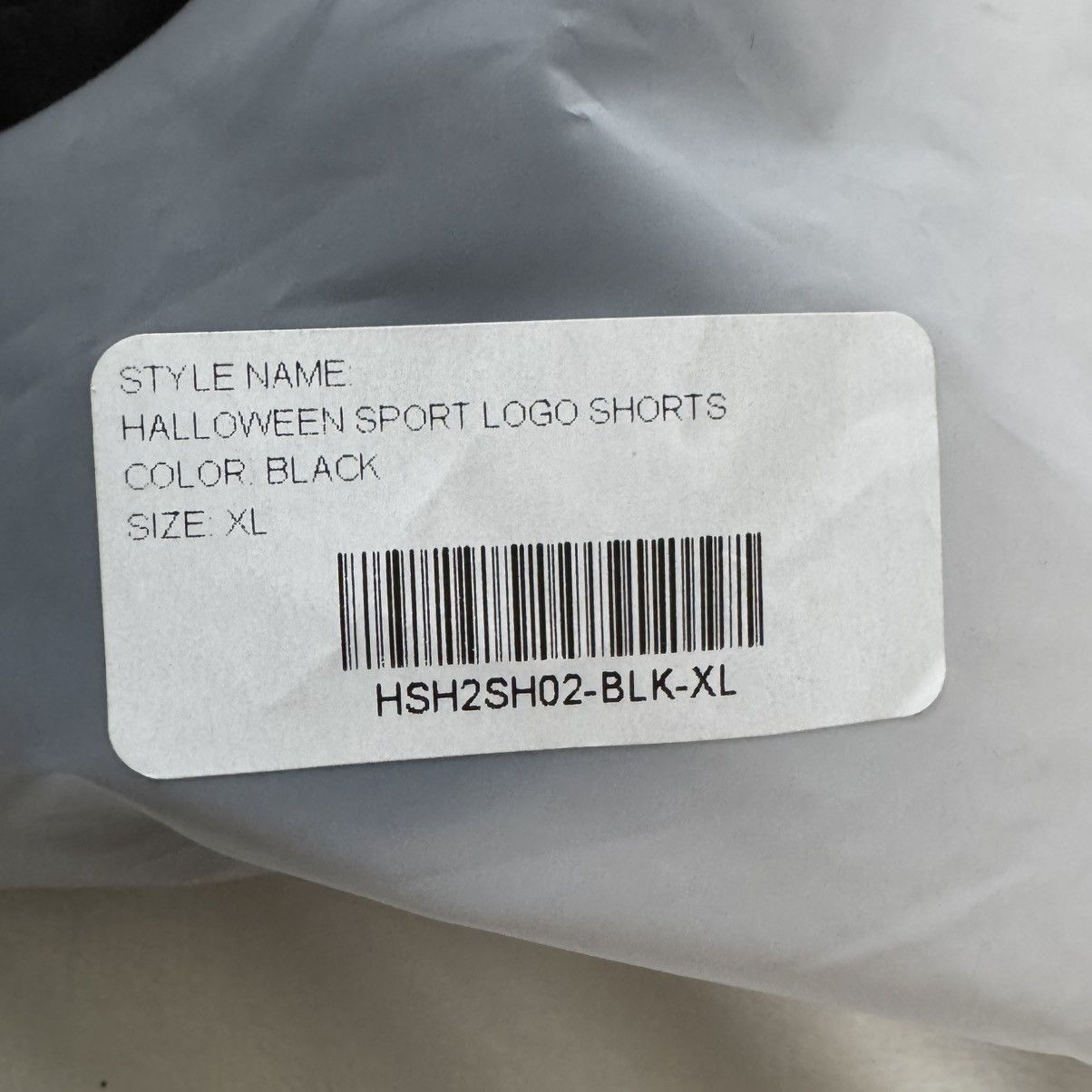 HELLSTAR Hellstar Spiderweb Sport Logo Shorts Size US 36 / EU 52 - 8 Thumbnail