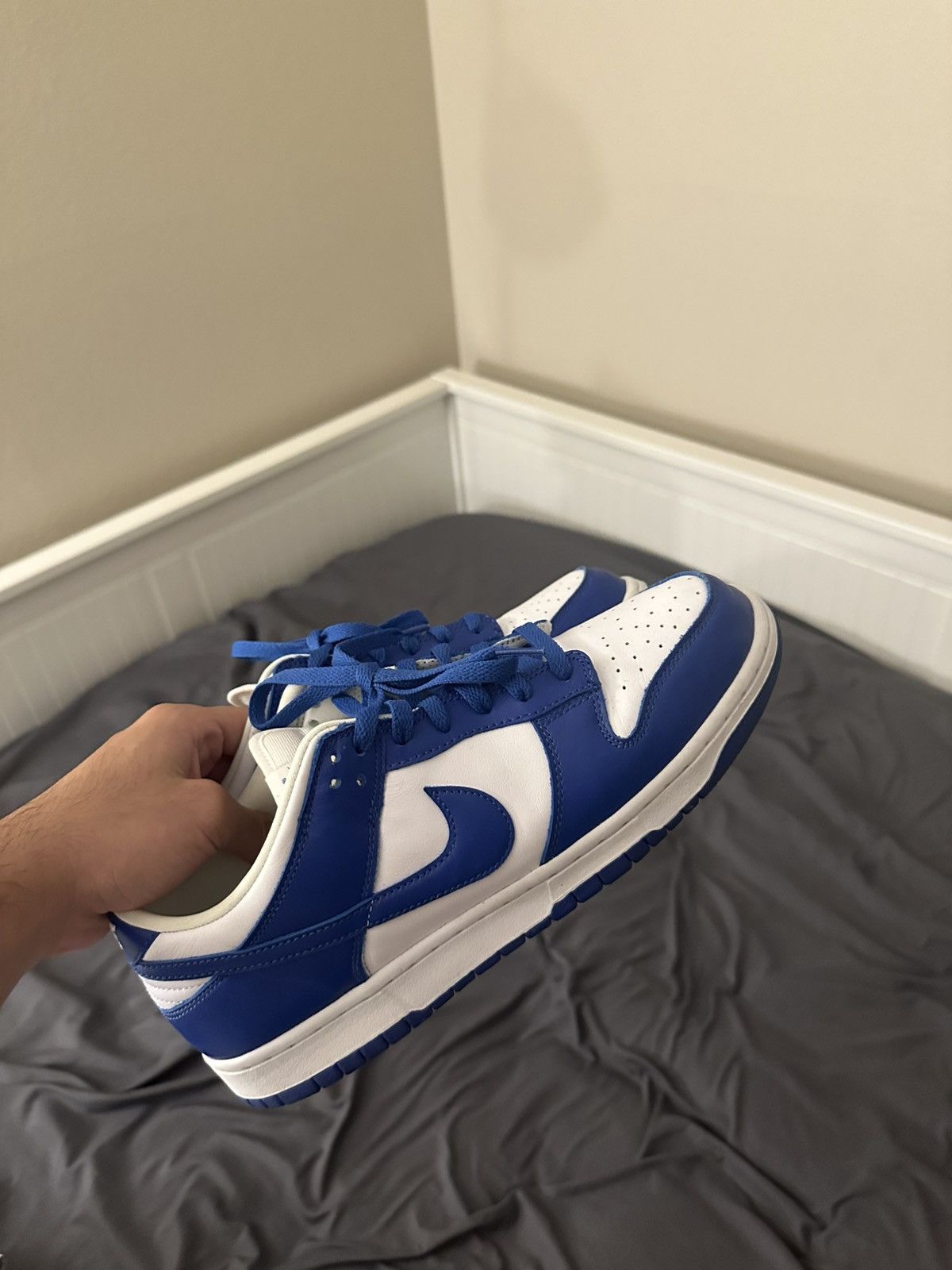 Jordan Brand × Nike Nike Kentucky dunks Size US 10.5 / EU 43-44 - 1 Thumbnail