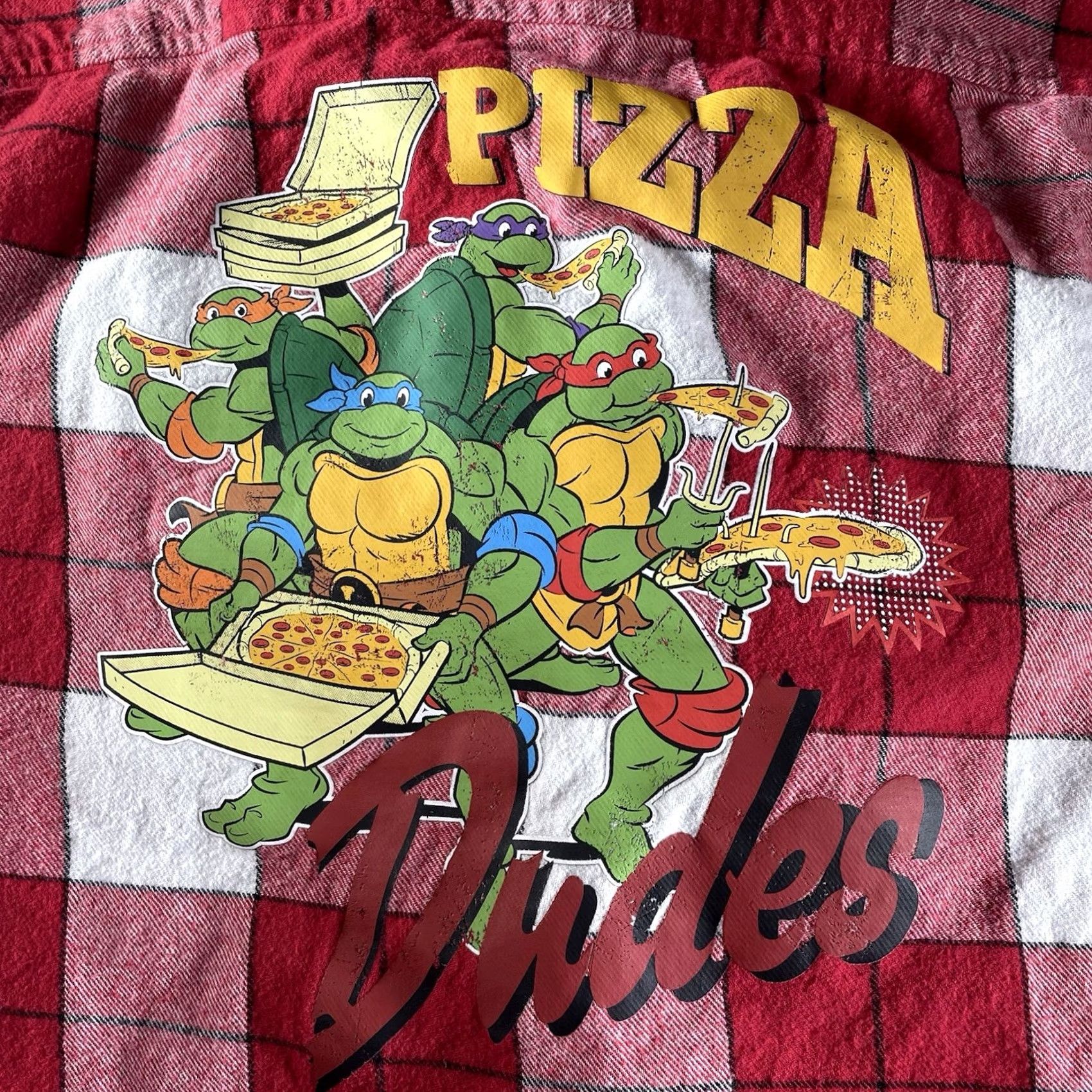Nickelodeon Nickelodeon TMNT Flannel Hoodie Men’s Medium Multicolor Pockets Hooded Cartoon Streetwear TMNT Pizza Dudes Size US M / EU 48-50 / 2 - 6 Thumbnail