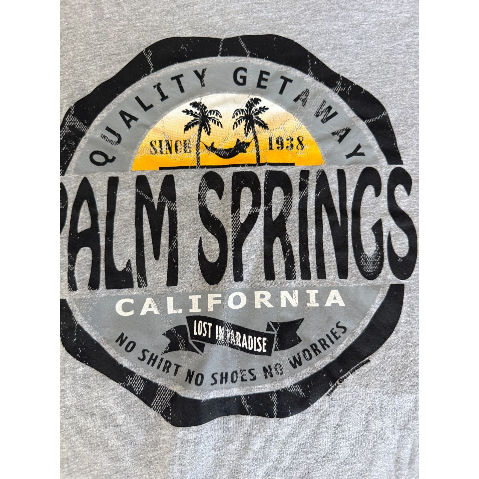 Next Level Palm Springs California T Shirt Mens XL Gray Next Level Gra Size US XL / EU 56 / 4 - 3 Thumbnail