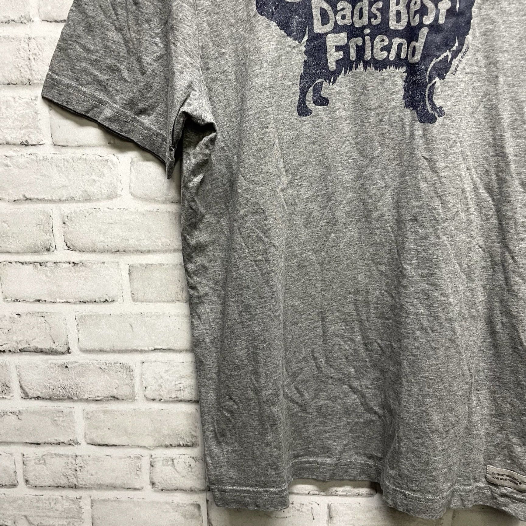 Life is Good VINTAGE Life is Good Crusher Life Gray Dads Best Friend Graphic Tee Mens Size M Size US M / EU 48-50 / 2 - 3 Thumbnail