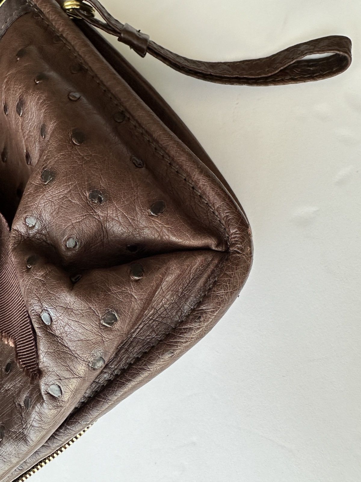 Lanvin Lanvin Amalia Ostrich Handbag Brown Retail $6000 Excellent Size ONE SIZE - 6 Thumbnail