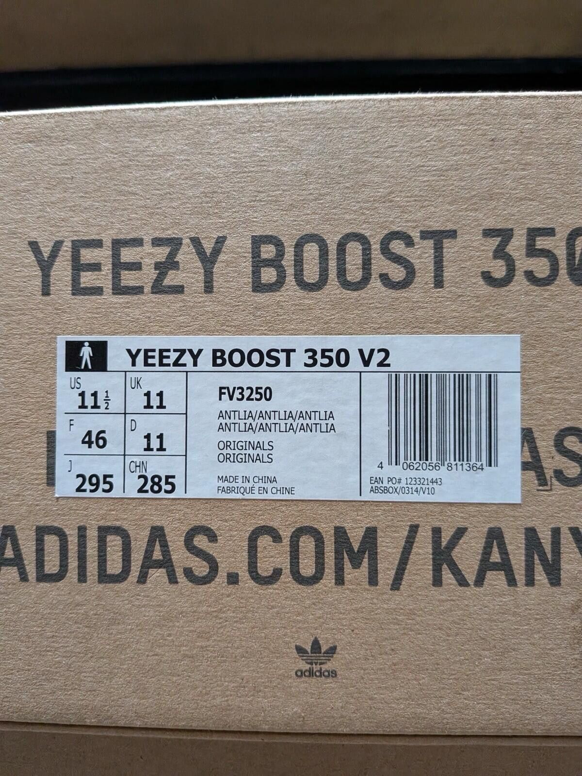 Adidas adidas Yeezy Boost 350 V2 FV3250 Antlia US11.5 Size US 11.5 / EU 44-45 - 7 Thumbnail