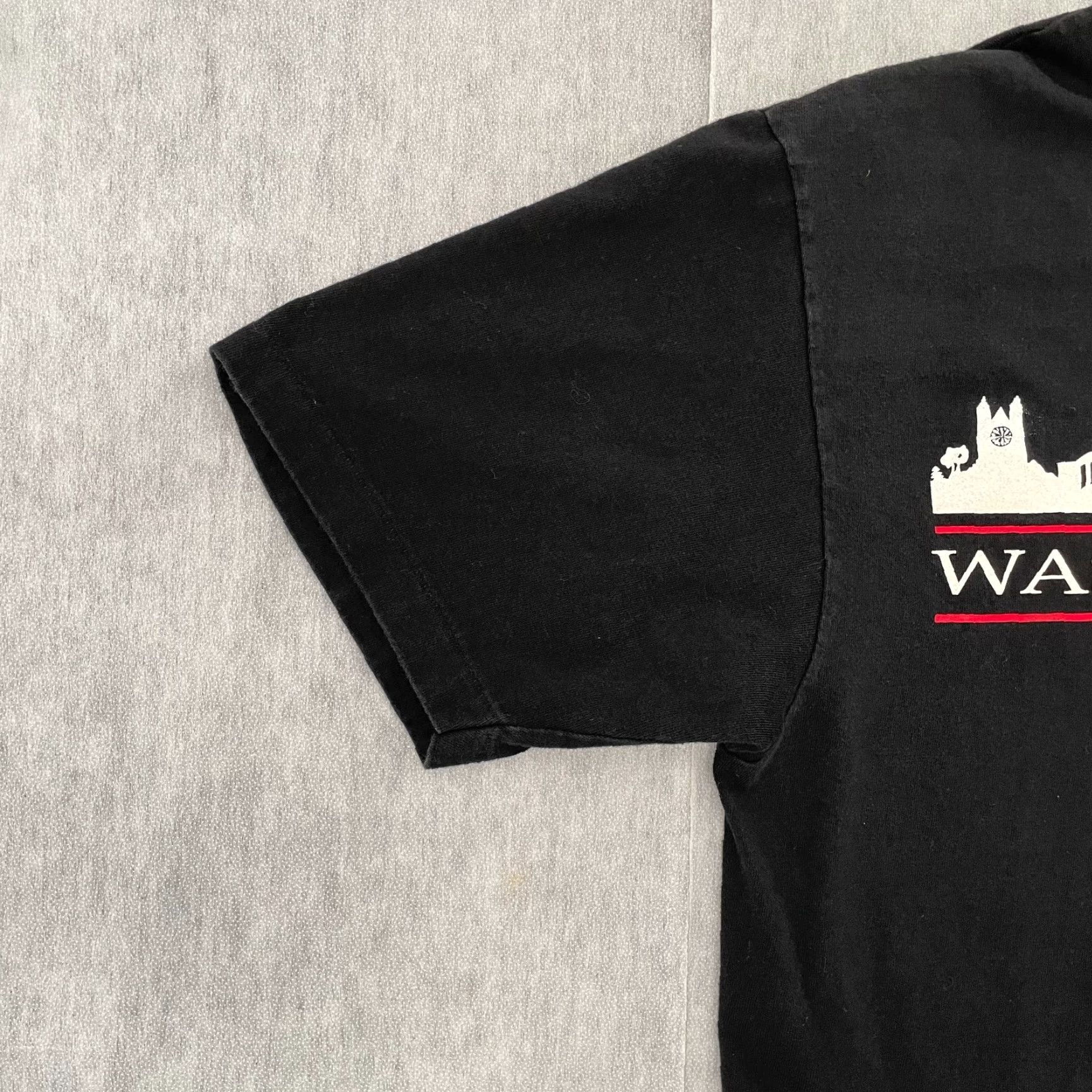 Hanes VINTAGE Hanes Beefy-T Washington DC Library Of Congress Graphic Print T-Shirt Adult Large Black USA Mens Size US L / EU 52-54 / 3 - 5 Thumbnail