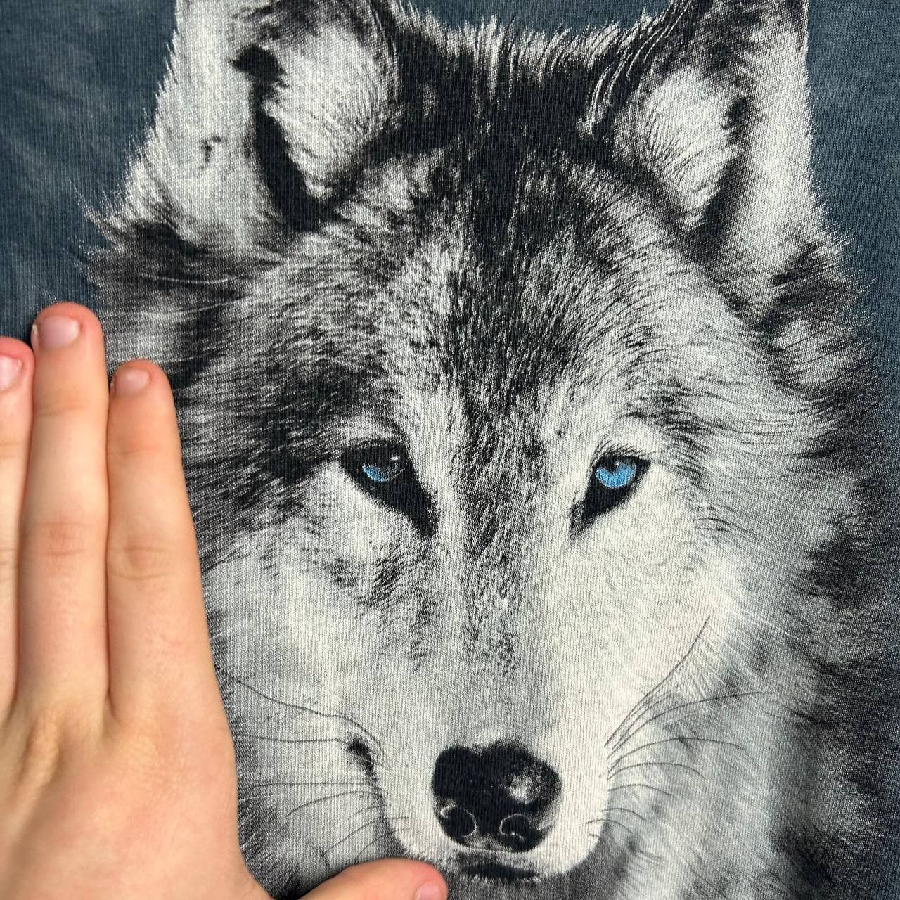 The Mountain Vintage The Mountain Wolf 2004 graphic streetwear tee Size US L / EU 52-54 / 3 - 3 Thumbnail