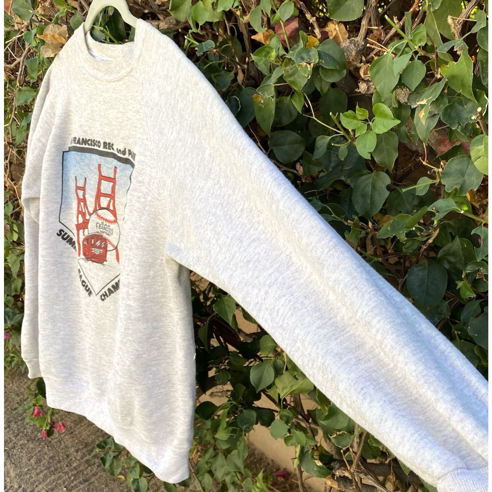 Hanes VINTAGE Hanes Sweatshirt San Francisco Rec. and Park Summer League Champions 1993 Graphic Print Gray L Men Size US L / EU 52-54 / 3 - 4 Thumbnail