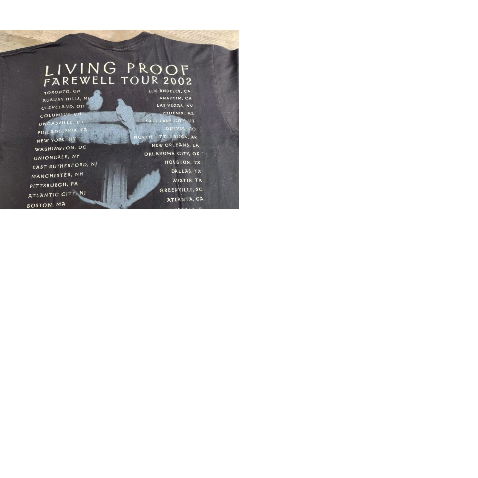 Vintage VINTAGE 2002 CHER LIVING PROOF Farewell TOUR Concert T-Shirt Double Sided Size US M / EU 48-50 / 2 - 9 Thumbnail