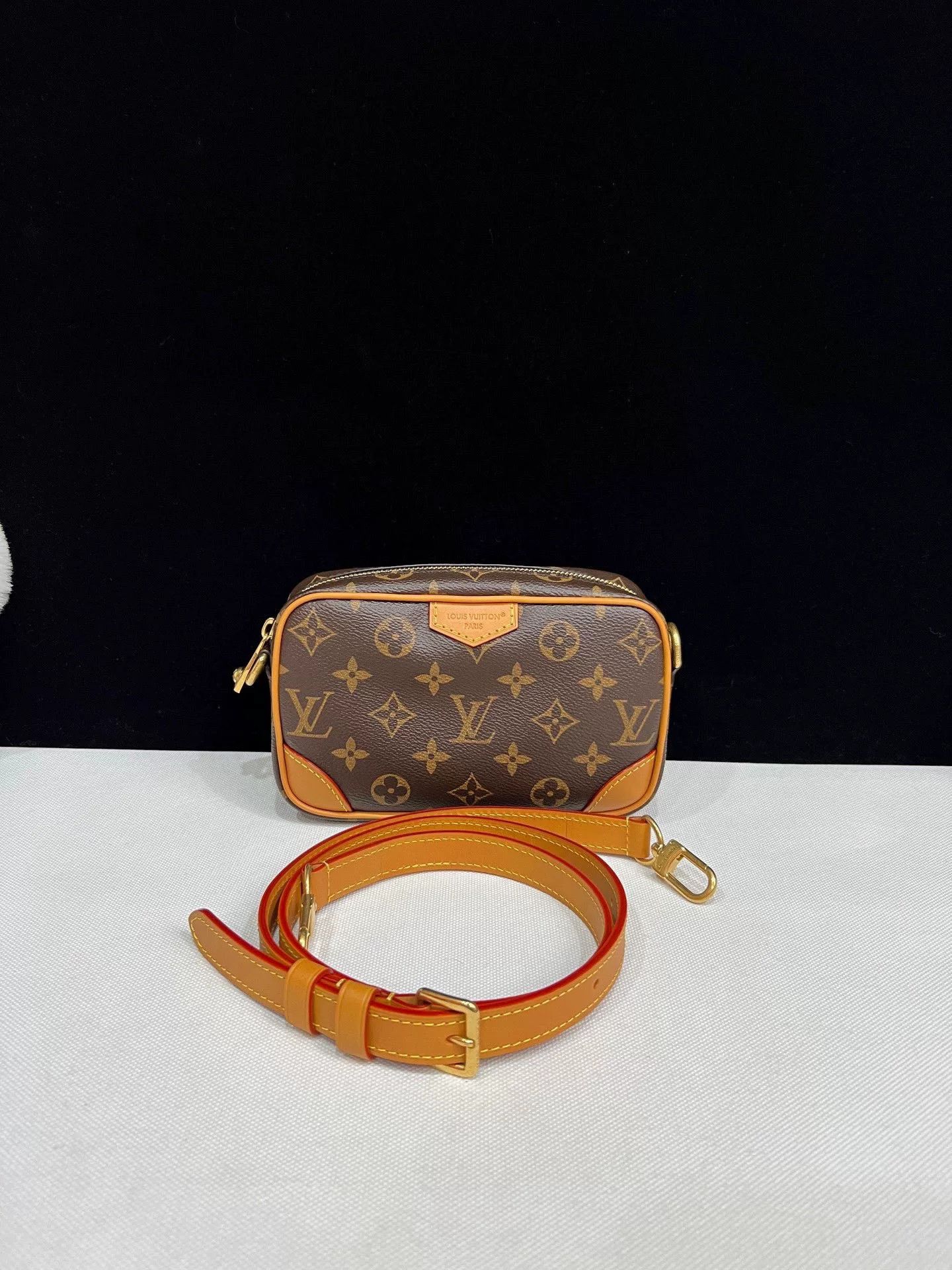 Louis Vuitton Pre-loved Bag Brand new condition Size ONE SIZE - 1 Thumbnail