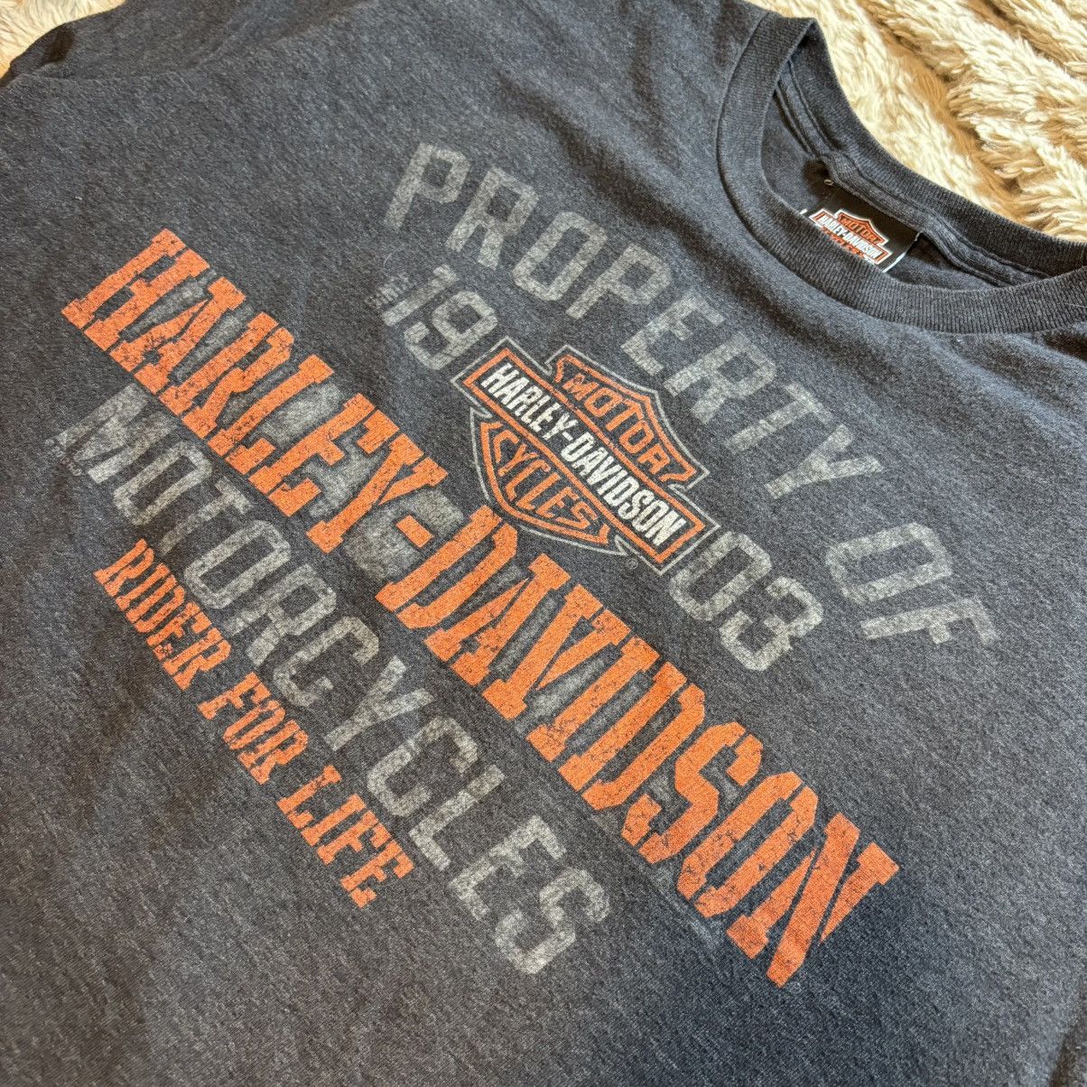 Harley Davidson Harley-Davidson Low Country Charleston SC Graphic Tee XL Size US L / EU 52-54 / 3 - 1 Thumbnail
