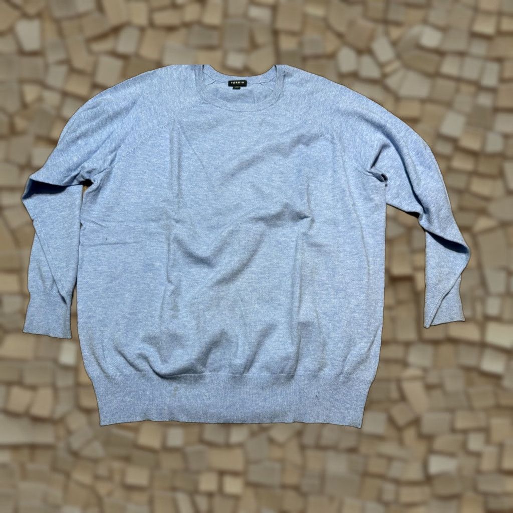 Torrid Torrid Shirt Women 2X Blue Long Sleeve Crewneck Pullover Crew Neck T-Shirt Casual Modern Fall Spring Summer Size XXL / US 16-18 / IT 52-54 - 1 Thumbnail