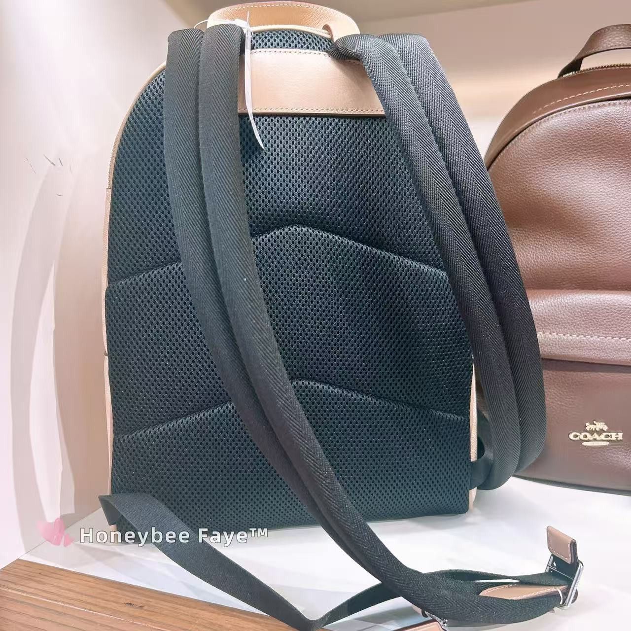 Coach Taylor Small Backpack In Signature Canvas CDW76 Size ONE SIZE - 4 Thumbnail