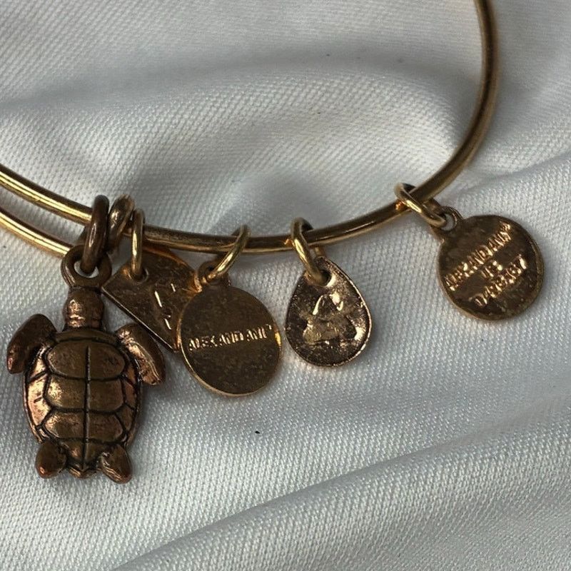 Other Alex and Ani Sea Turtle Bangle Bracelet Rafaelian Gold Tone Size ONE SIZE - 3 Thumbnail