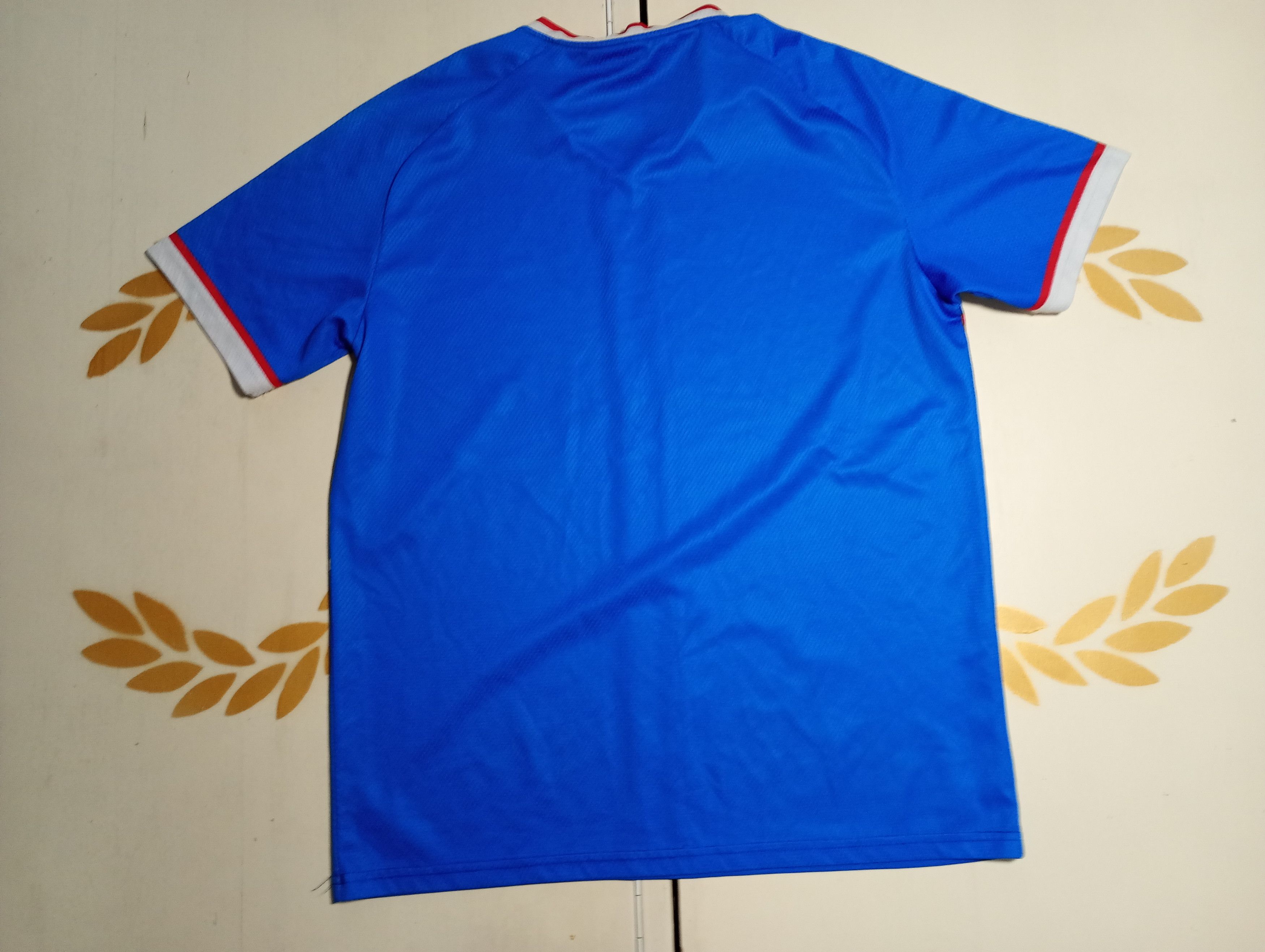 Libero Libero Ipswich Town Home Jersey 2025-2026 Size US L / EU 52-54 / 3 - 9 Thumbnail