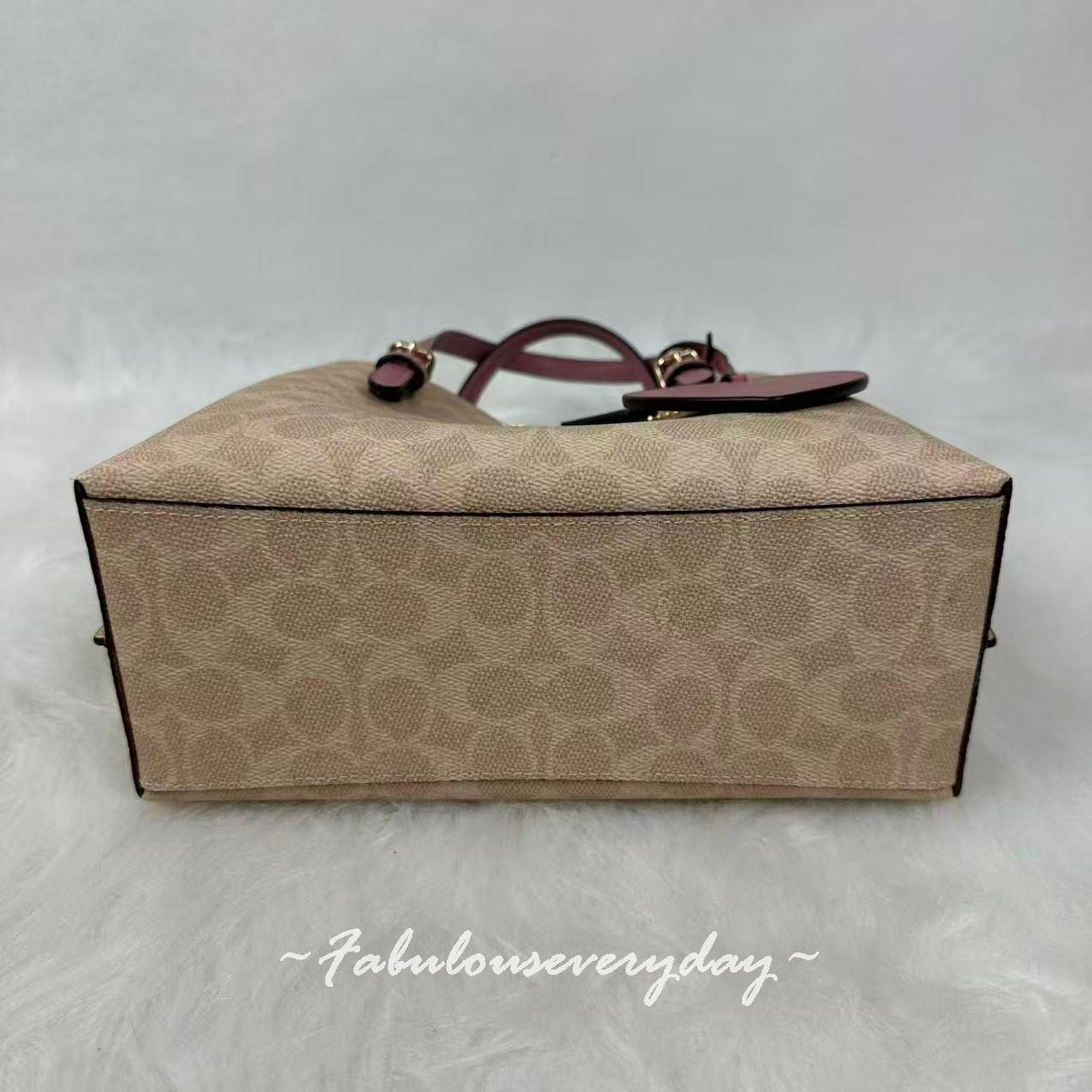 Coach Coach Mollie Tote Bag 25 Sig Canvas Heart Charm Sand Peony Size ONE SIZE - 6 Thumbnail