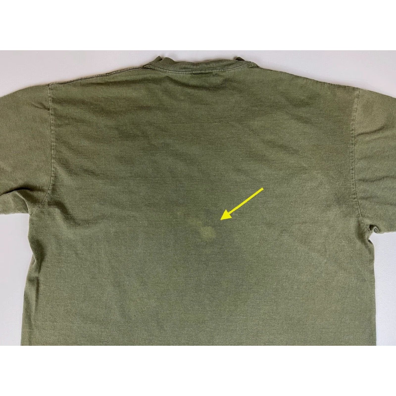 Vintage VINTAGE Men's T-Shirt Door County Wisconsin Planet Earth Crew Neck Short Sleeve Sz L Green 1990s Fish Nature Planet Earth Vintage Mens T-Shirt Size US L / EU 52-54 / 3 - 6 Thumbnail