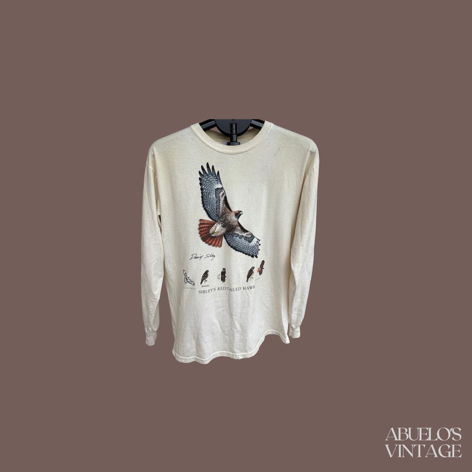 Gildan VTG Red-Tailed Hawk Tee | Sibley Wildlife Graphic Size US M / EU 48-50 / 2 - 1 Thumbnail