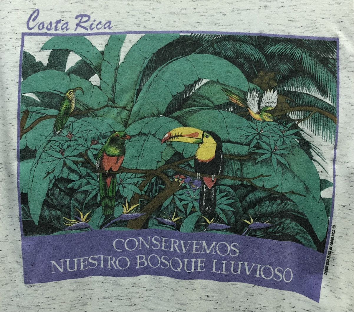 Vintage Vintage J&B Ecological Costa Rica T-Shirt Size US M / EU 48-50 / 2 - 3 Thumbnail