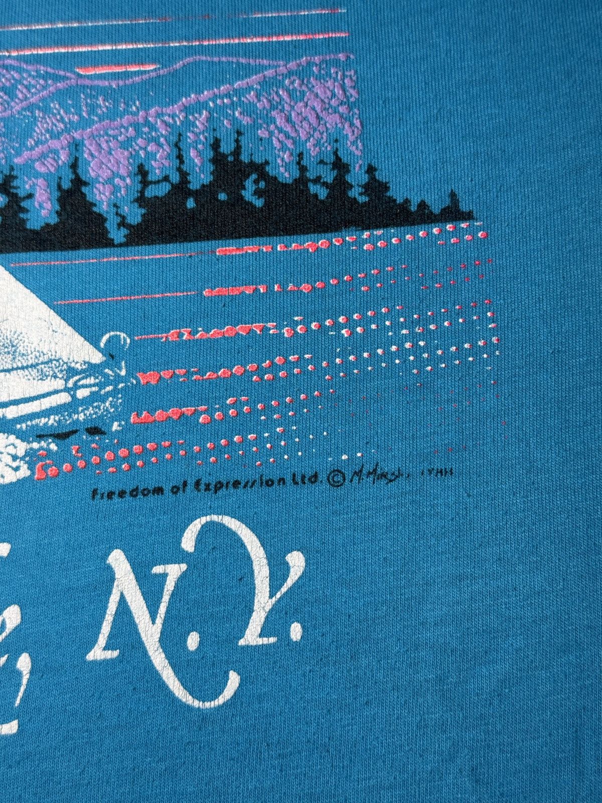 Vintage Vintage Findley Lake New York Sail Boat Retro 90s T Shirt Size US M / EU 48-50 / 2 - 3 Thumbnail
