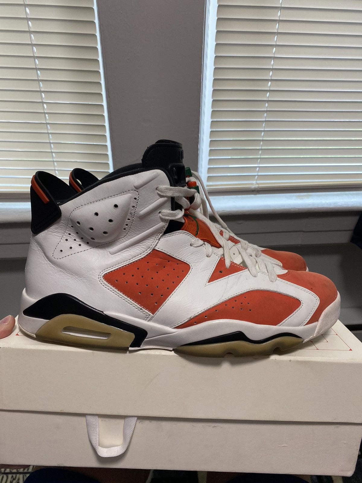 gator 6s jordans
