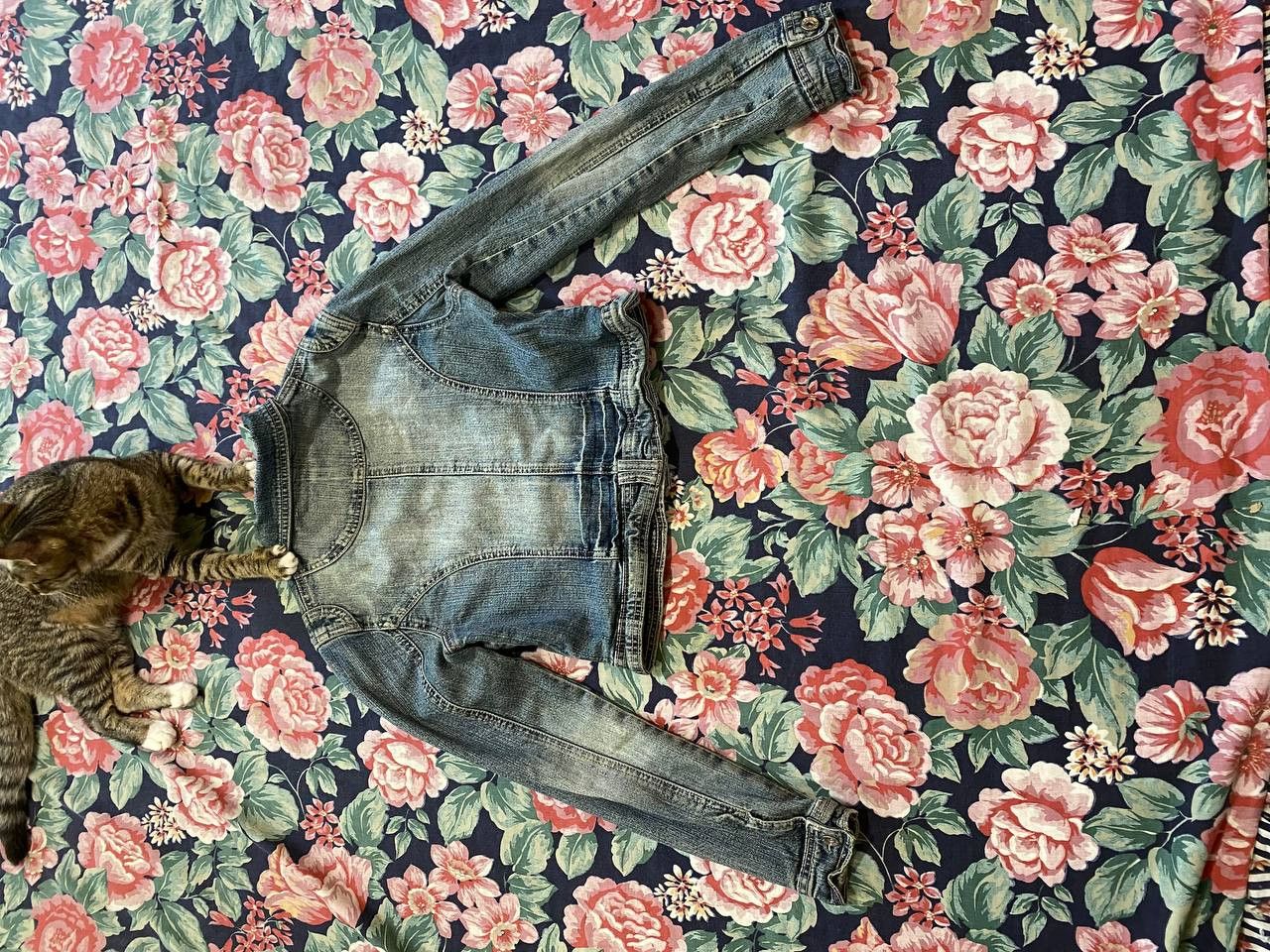 Miss Sixty Miss Sixty Vintage Cropped Faux Sheepskin Jacket (V122) Size M / US 6-8 / IT 42-44 - 15 Thumbnail