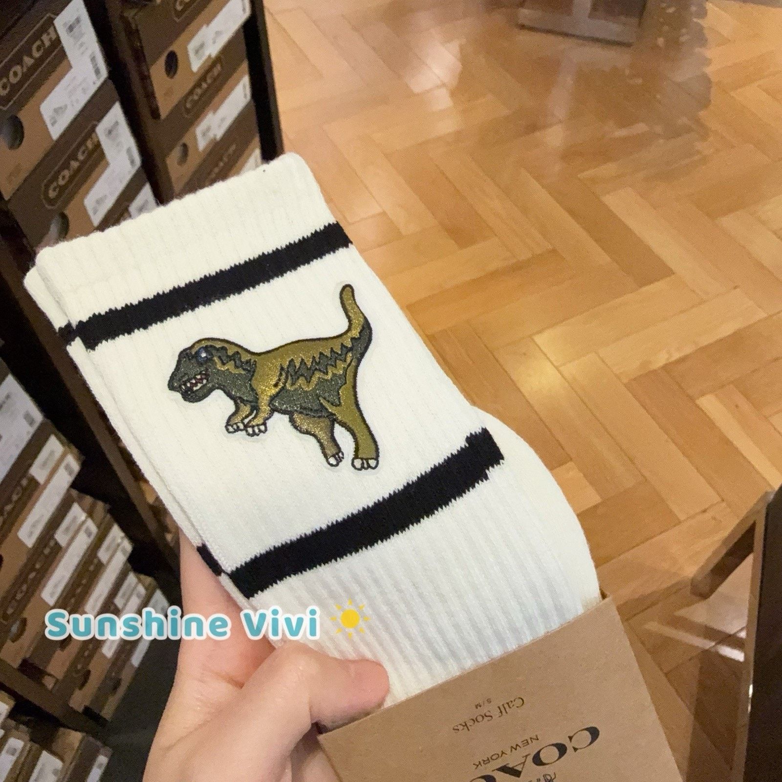Coach NWT Coach Rexy Calf Socks Chalk S/M Unisex CAZ36 Size ONE SIZE - 2 Thumbnail